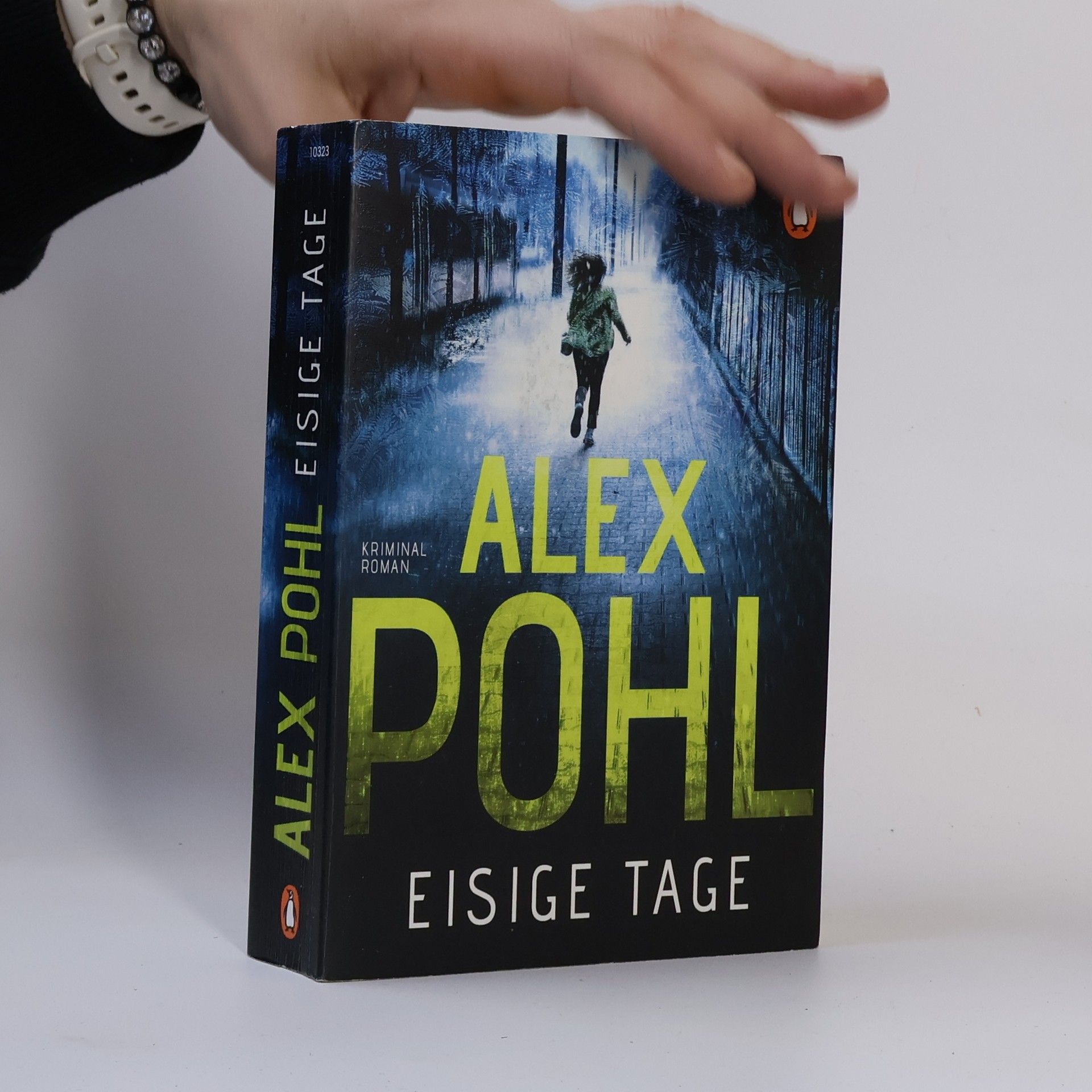Alex Pohl Eisige Tage