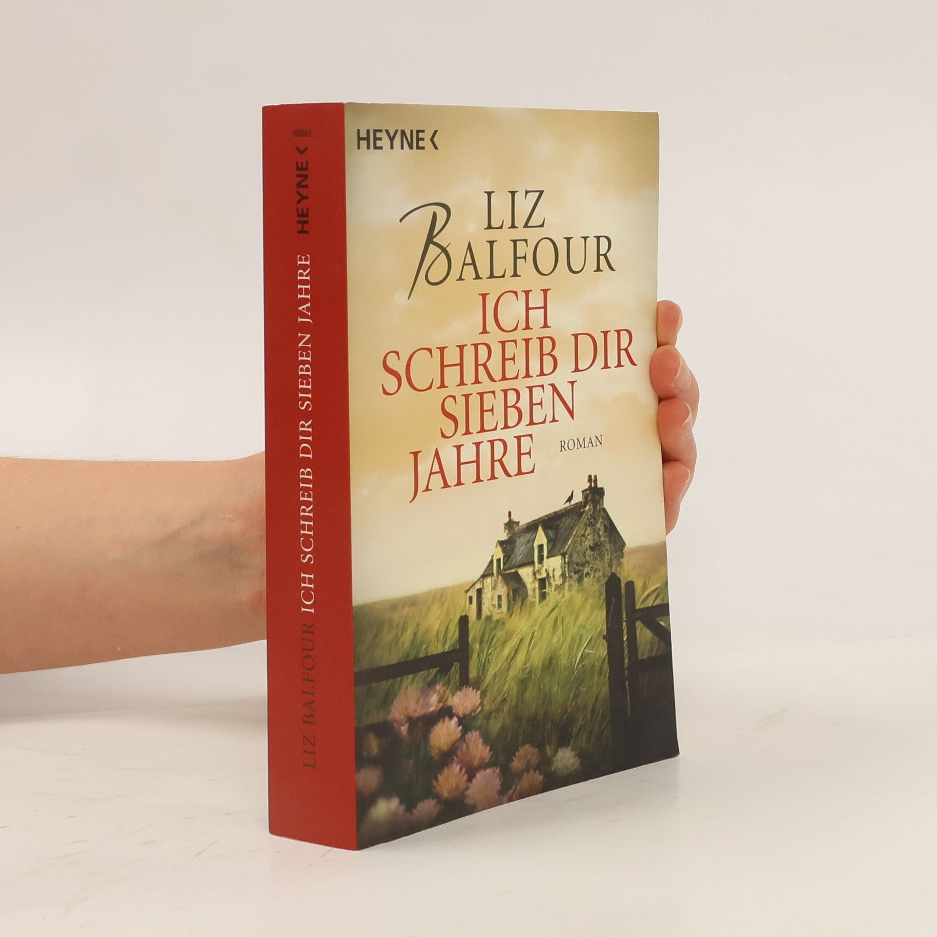 Ich schreib dir sieben Jahre