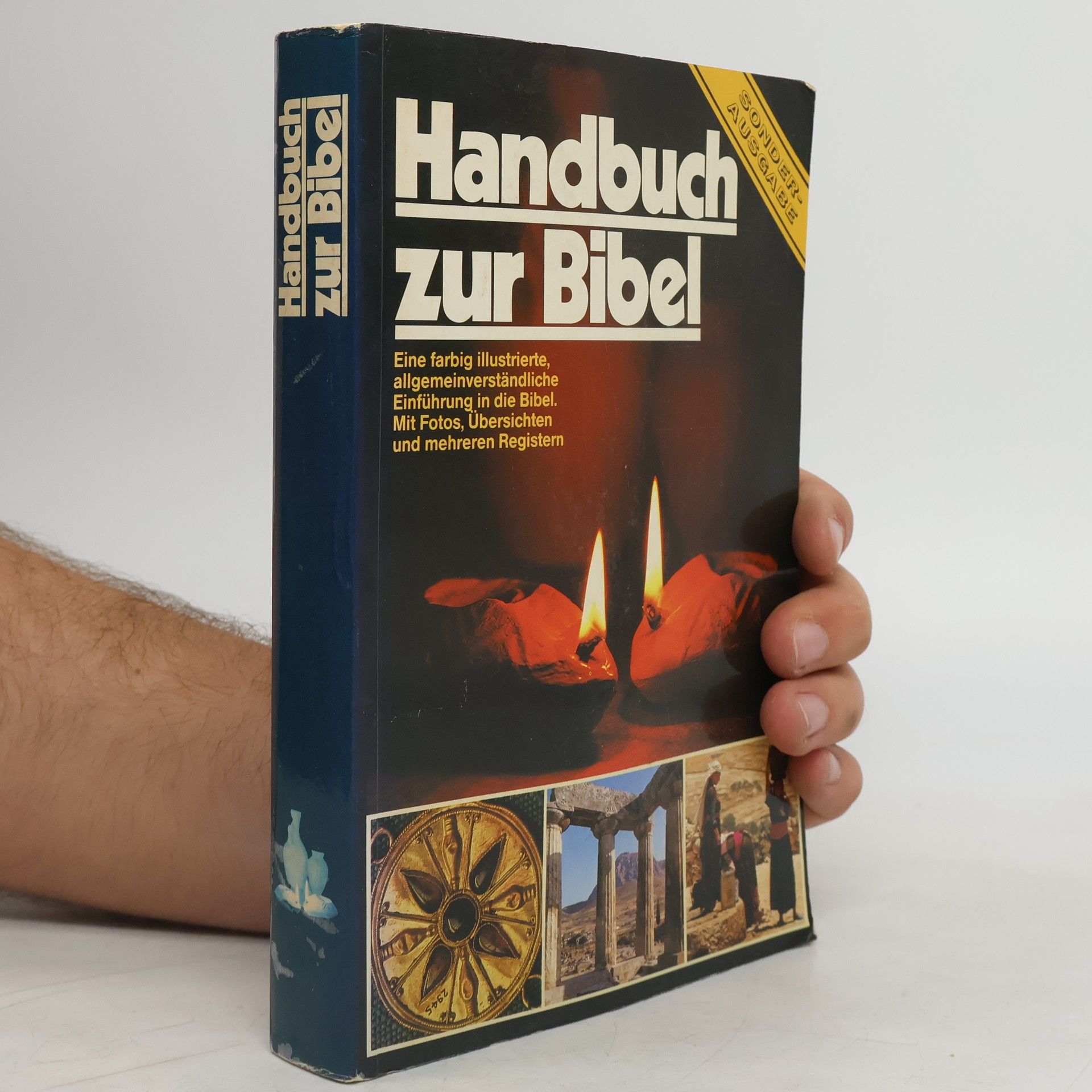 Pat Alexander Handbuch zur Bibel