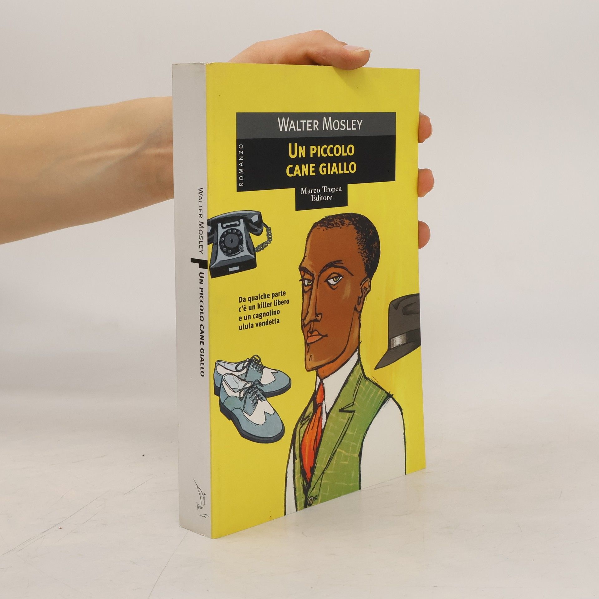 Anna Maria Cossiga Un piccolo cane giallo