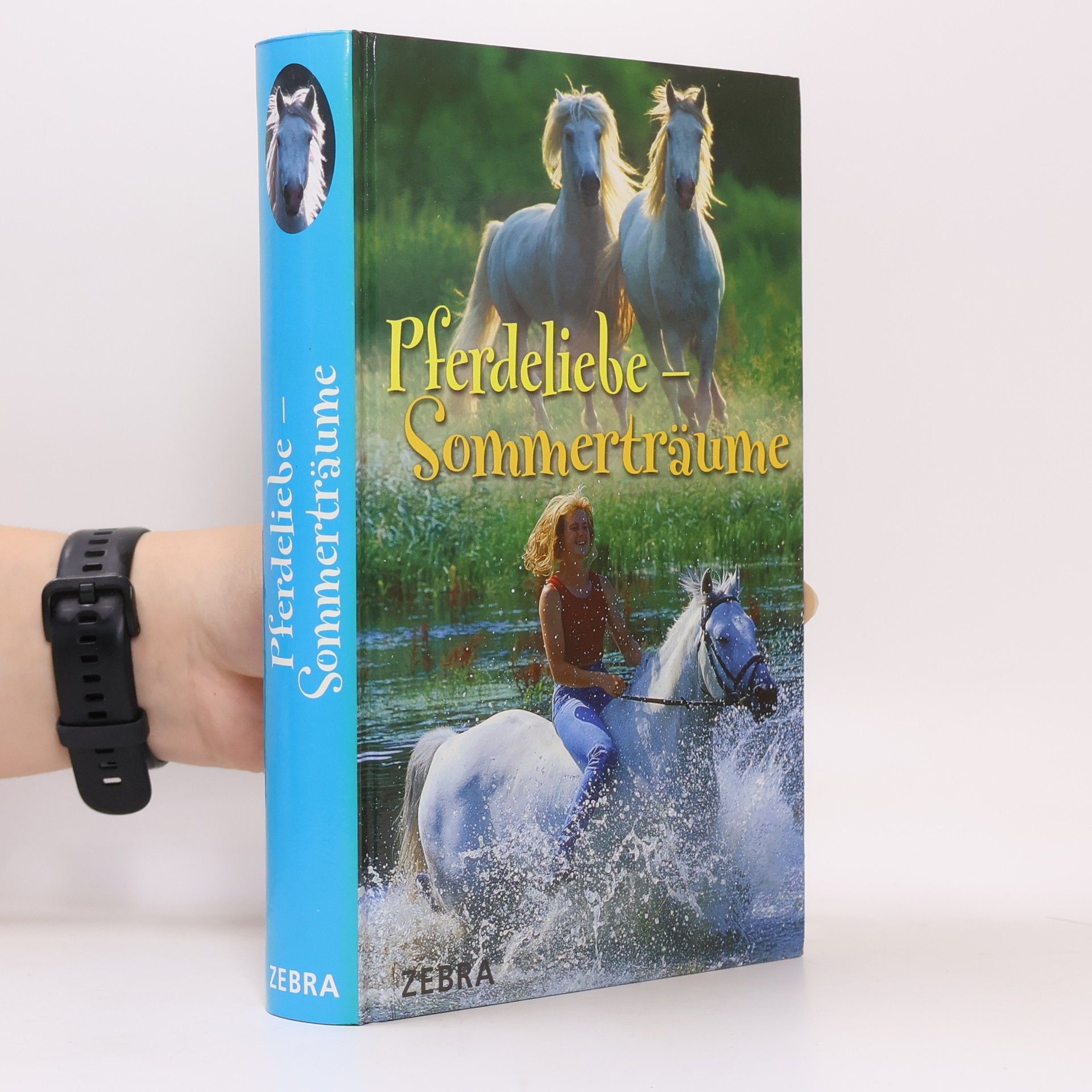 Pferdeliebe - Sommerträume
