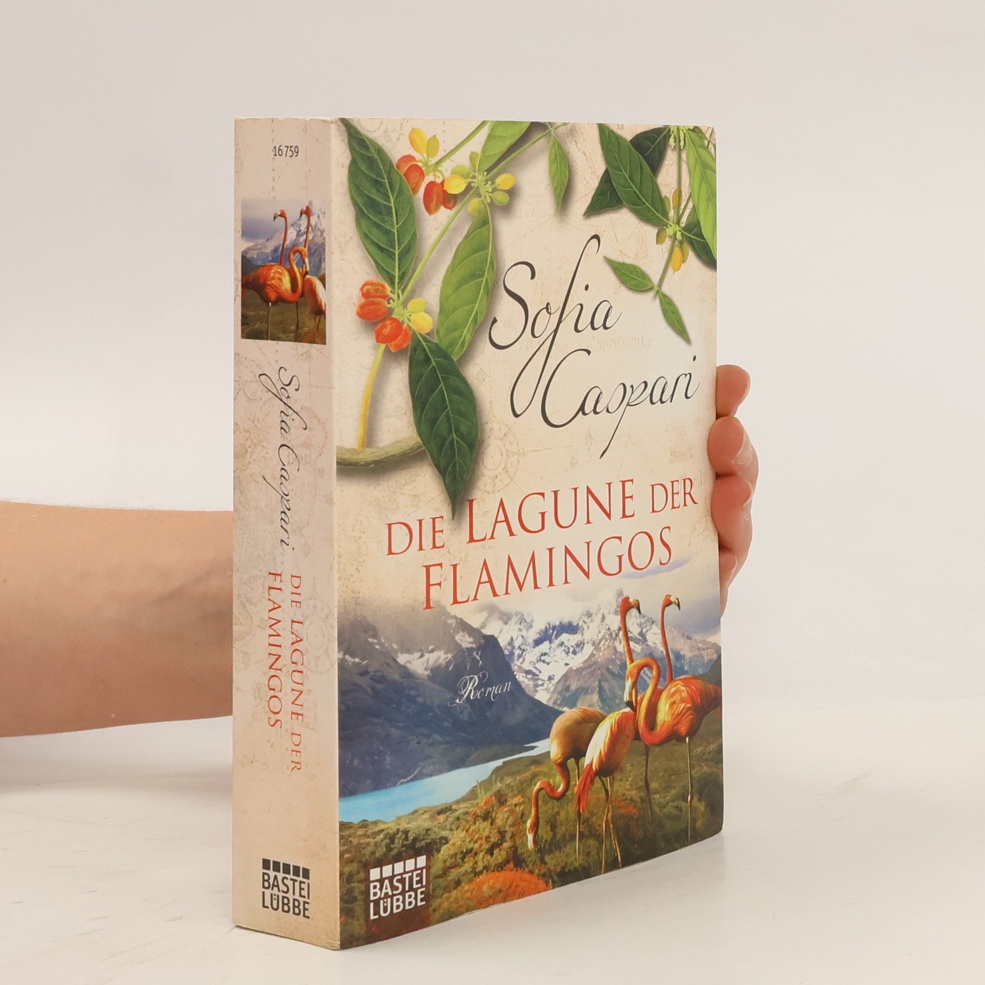 Sofia Caspari Die Lagune der Flamingos