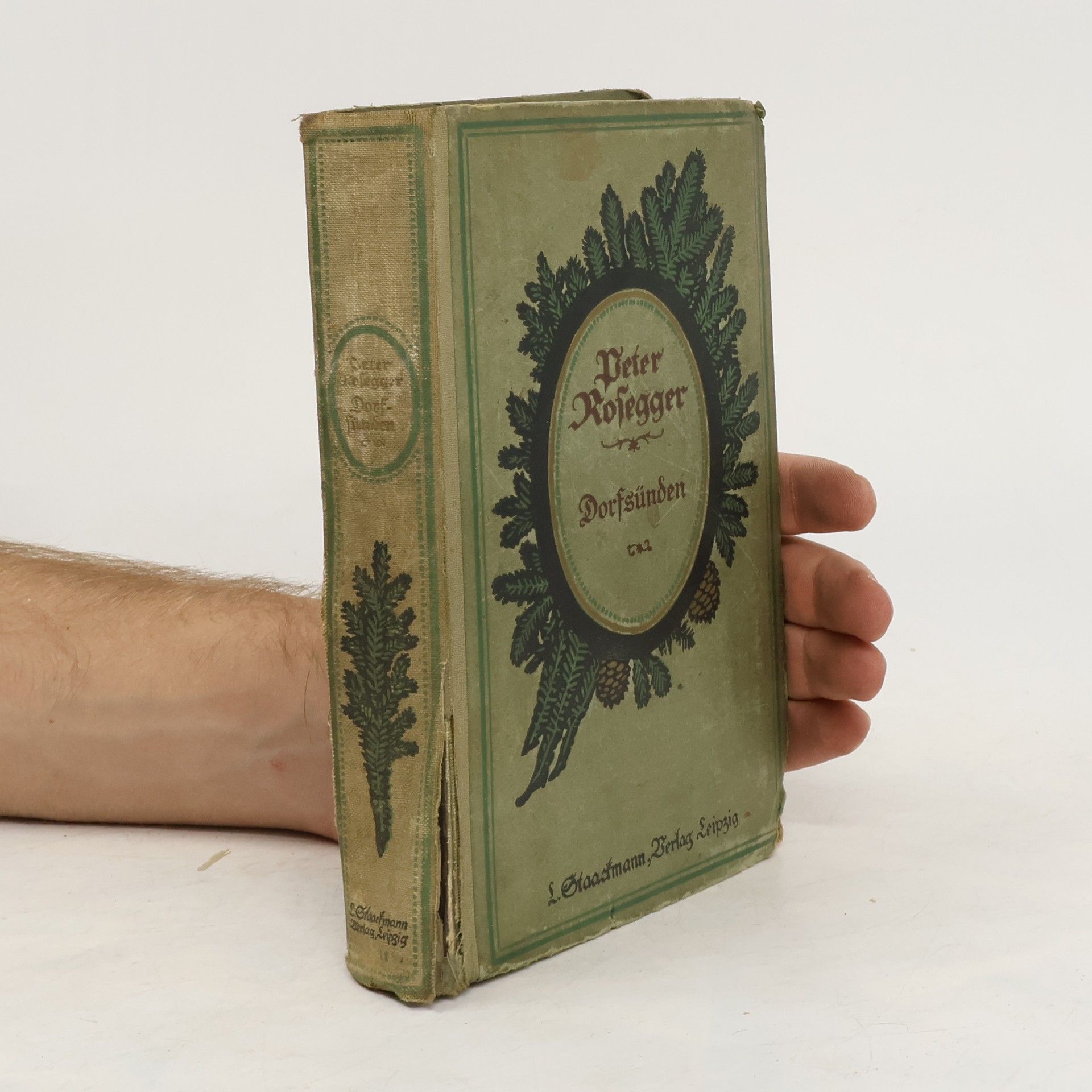 Peter Rosegger Dorfsünden. Vierter Band