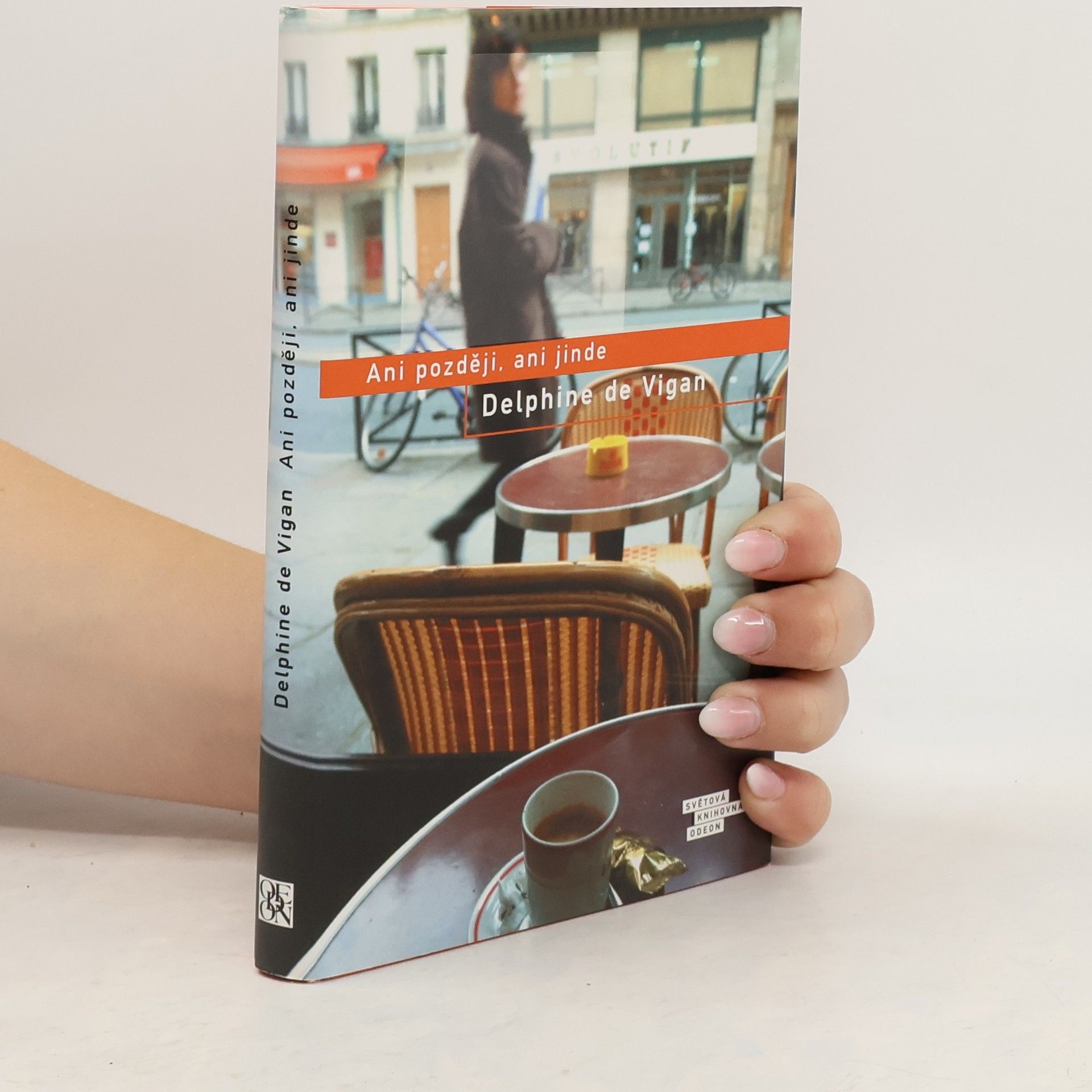 Delphine de Vigan Ani později, ani jinde