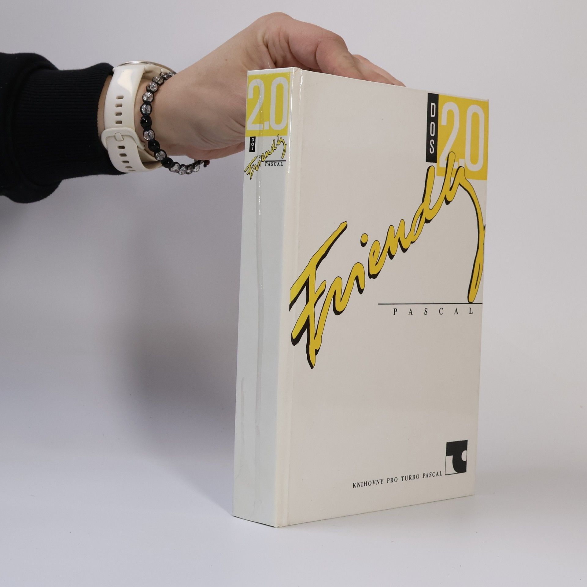 Autorenkollektiv Friendly Pascal. DOS 2.0