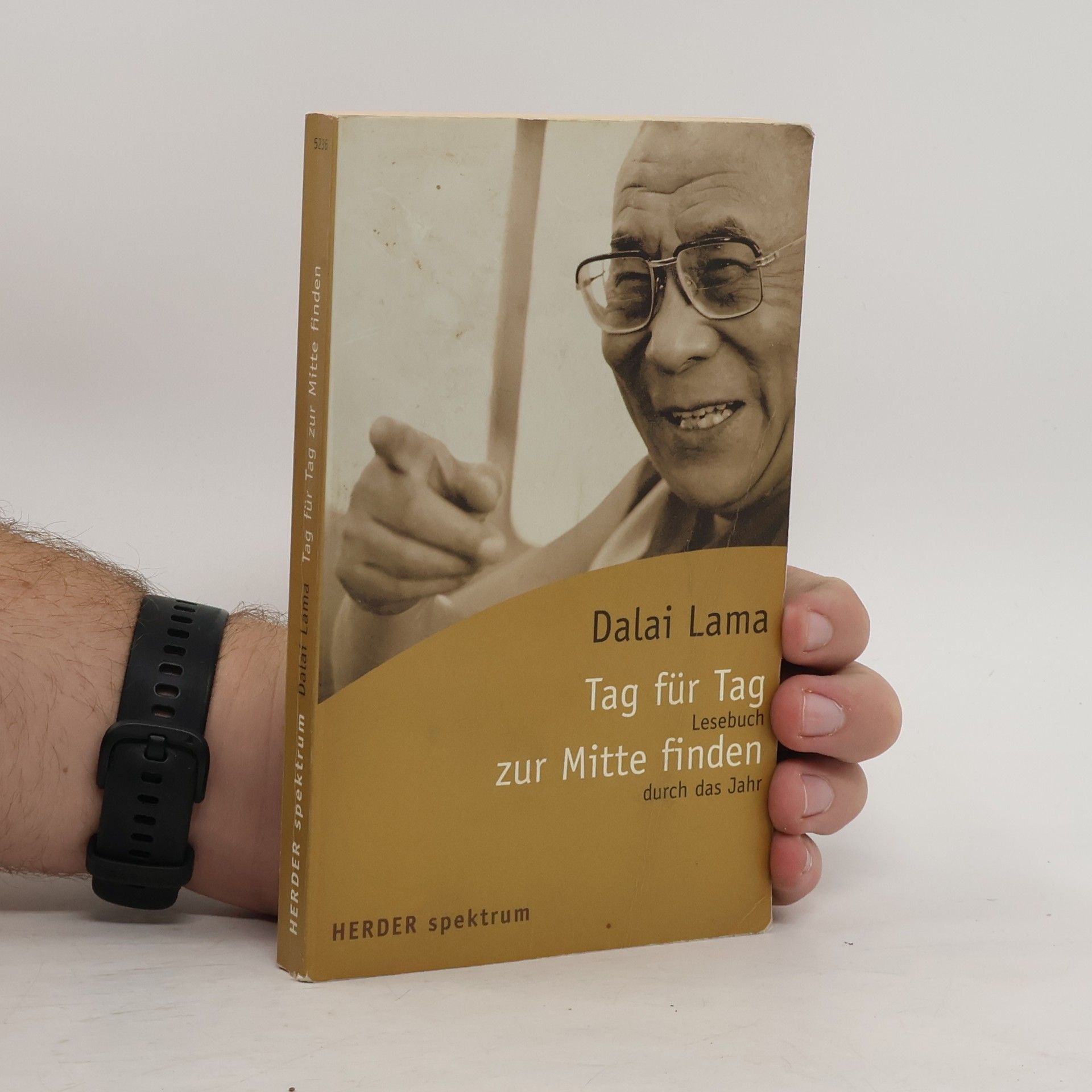 Dalai Lama XIV Bstan-ʼdzin-rgya-mtsho Tag für Tag zur Mitte finden