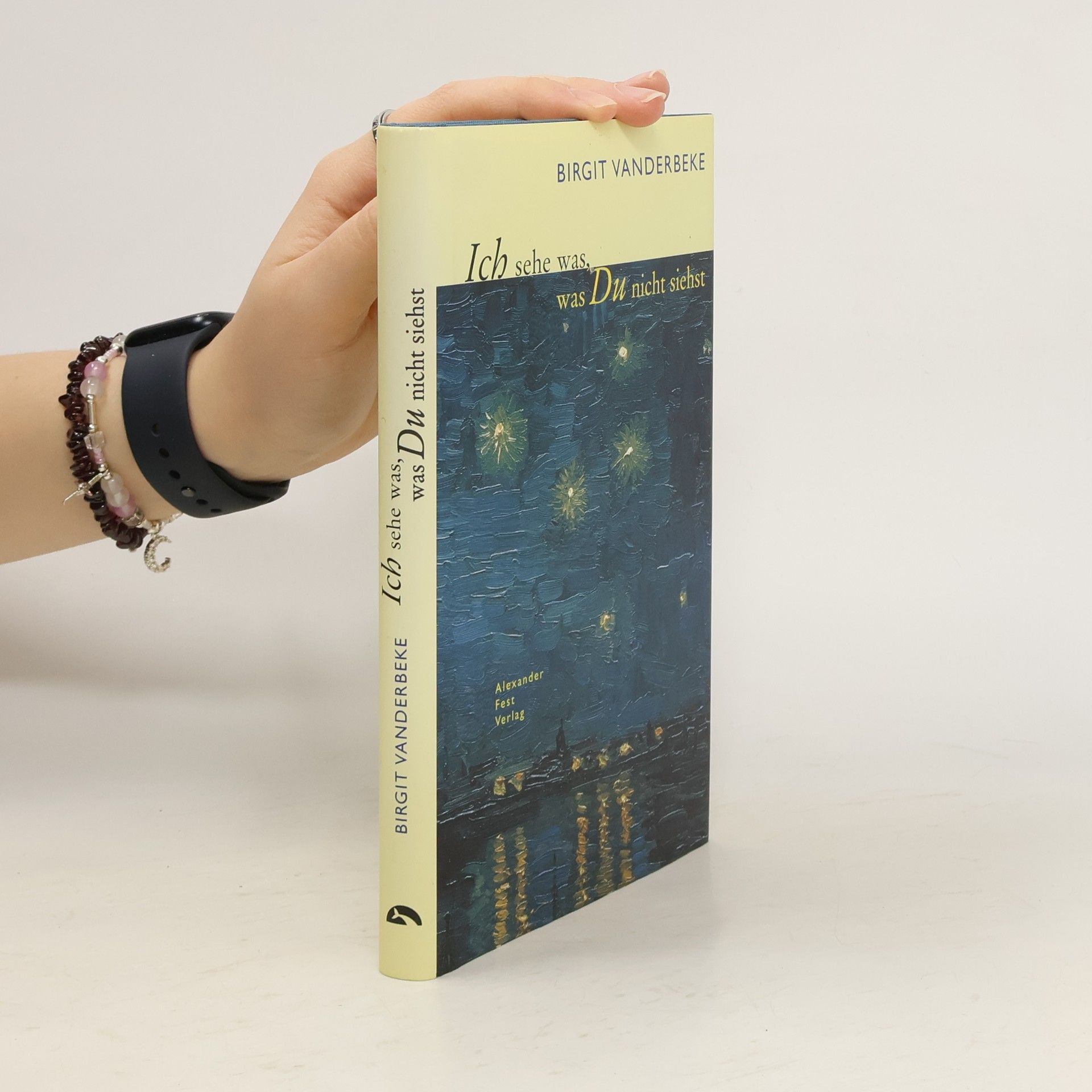 Birgit Vanderbeke Ich sehe was, was du nicht siehst