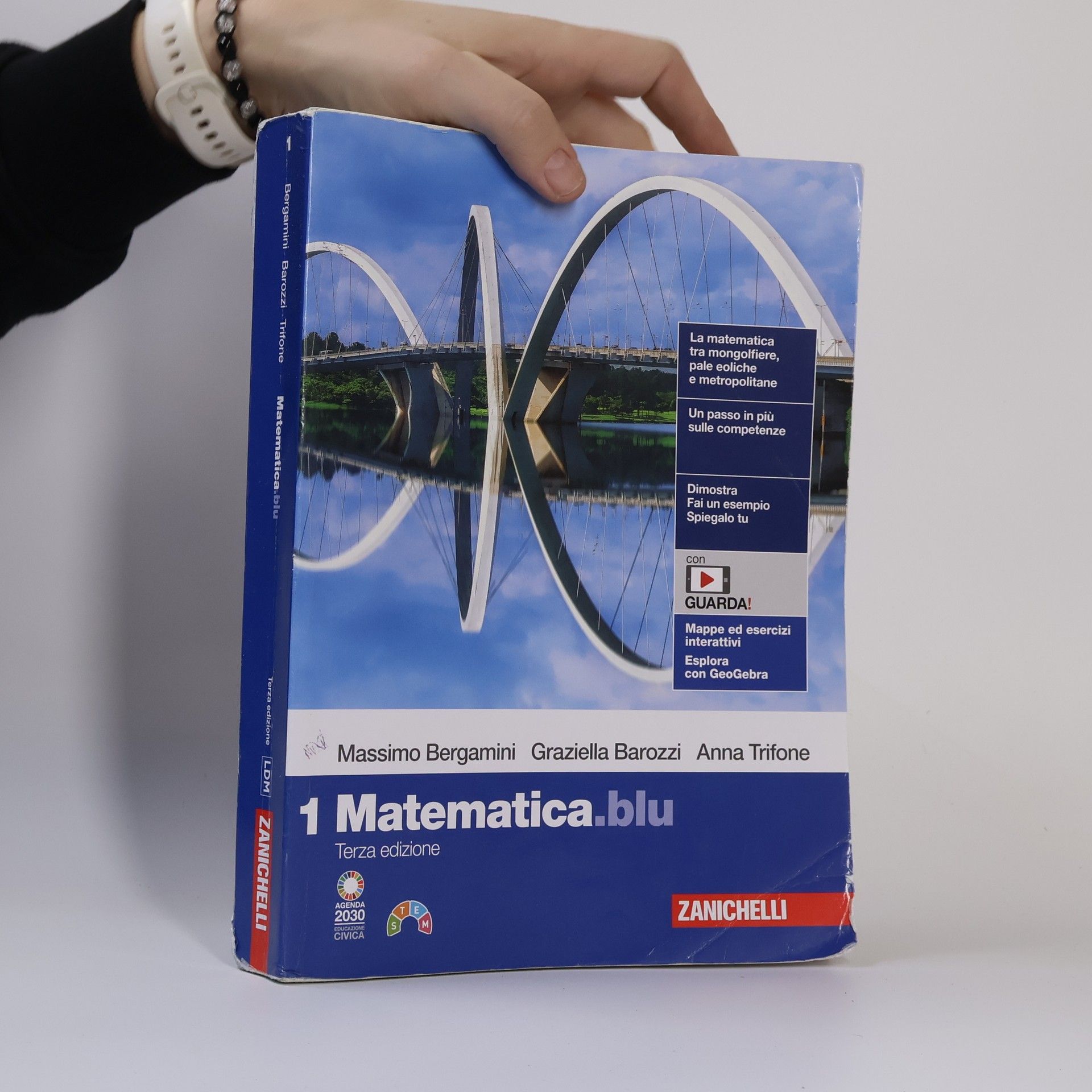 Massimo Bergamini Matematica 1