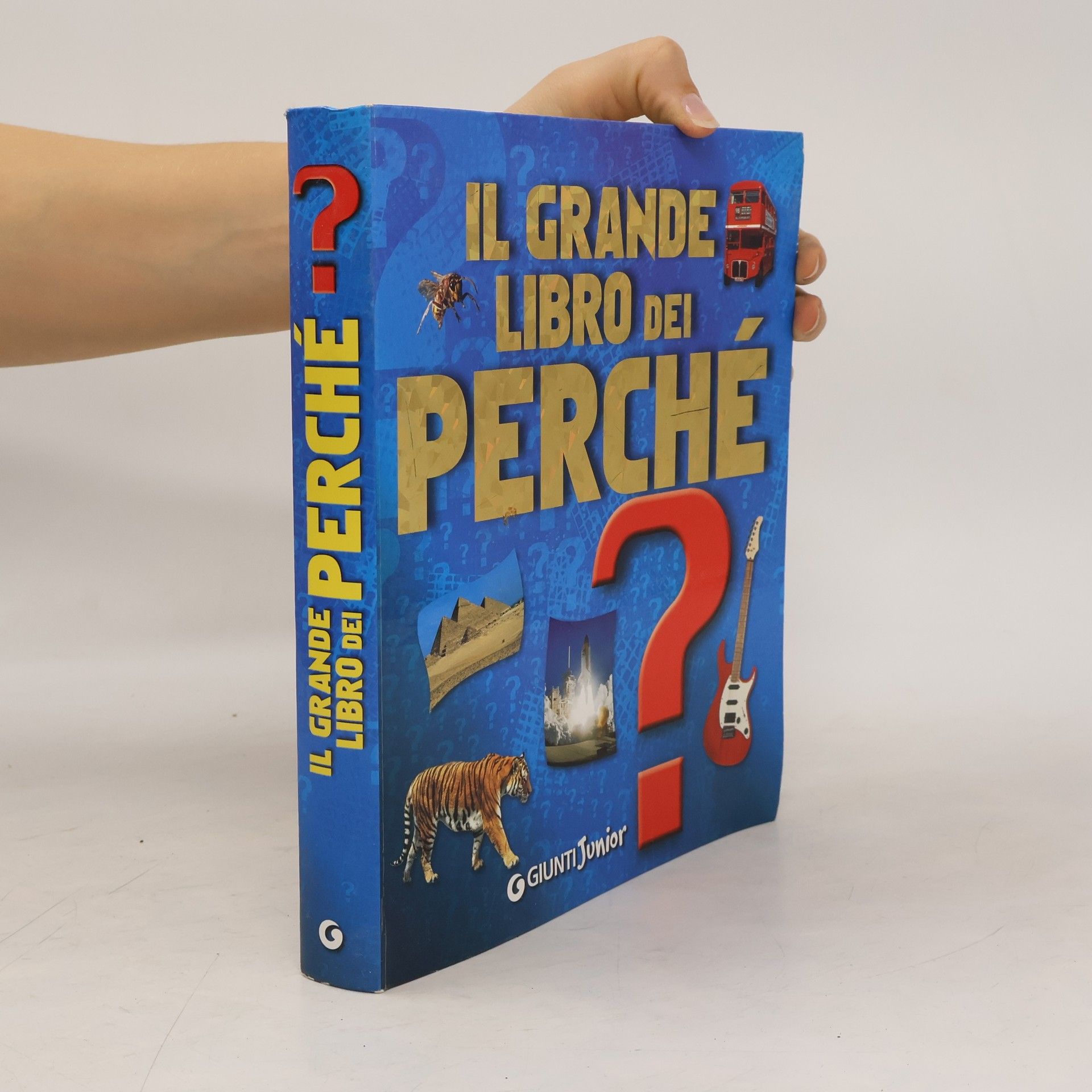 Michele Lauro Il grande libro dei perché