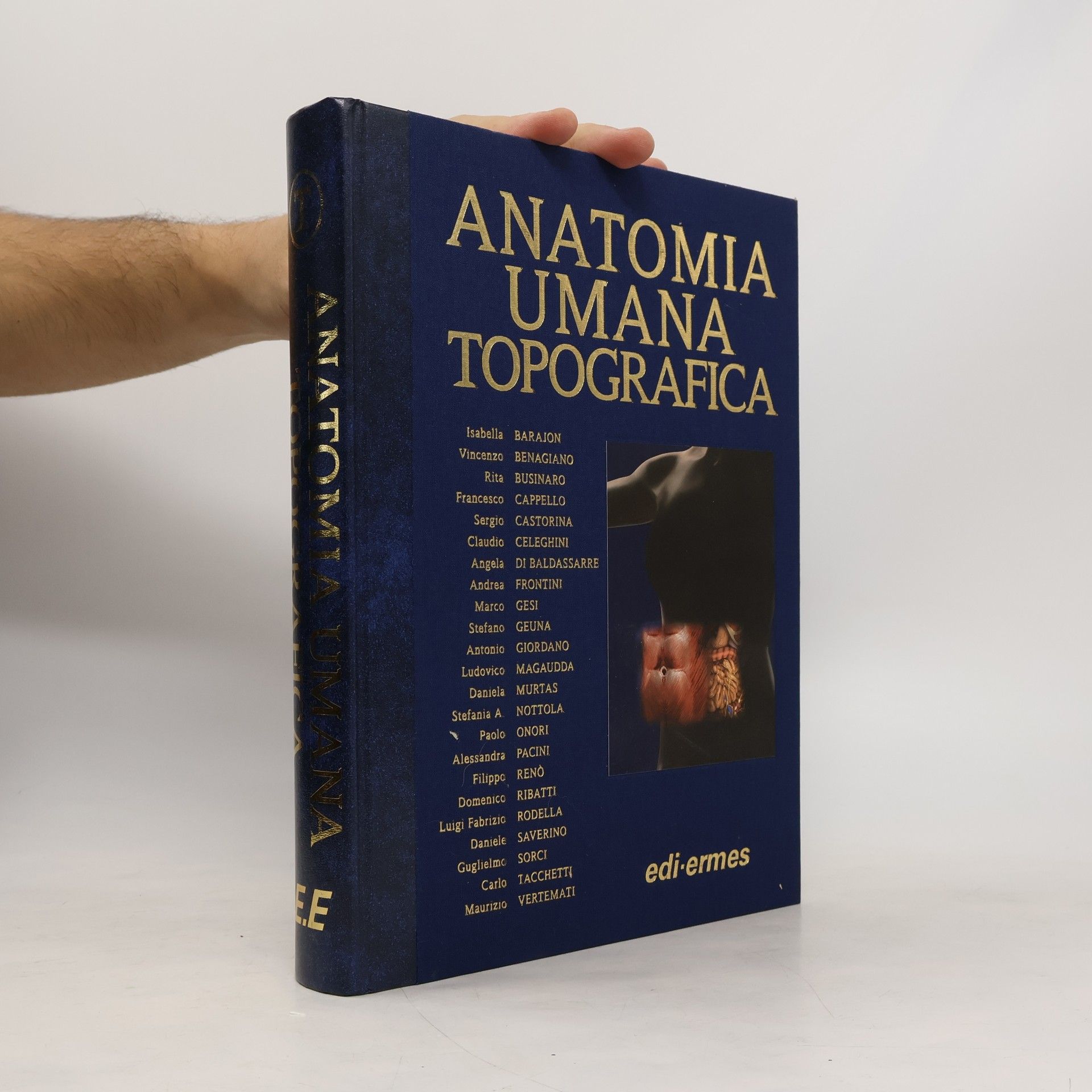 AA.VV. Anatomia umana topografica
