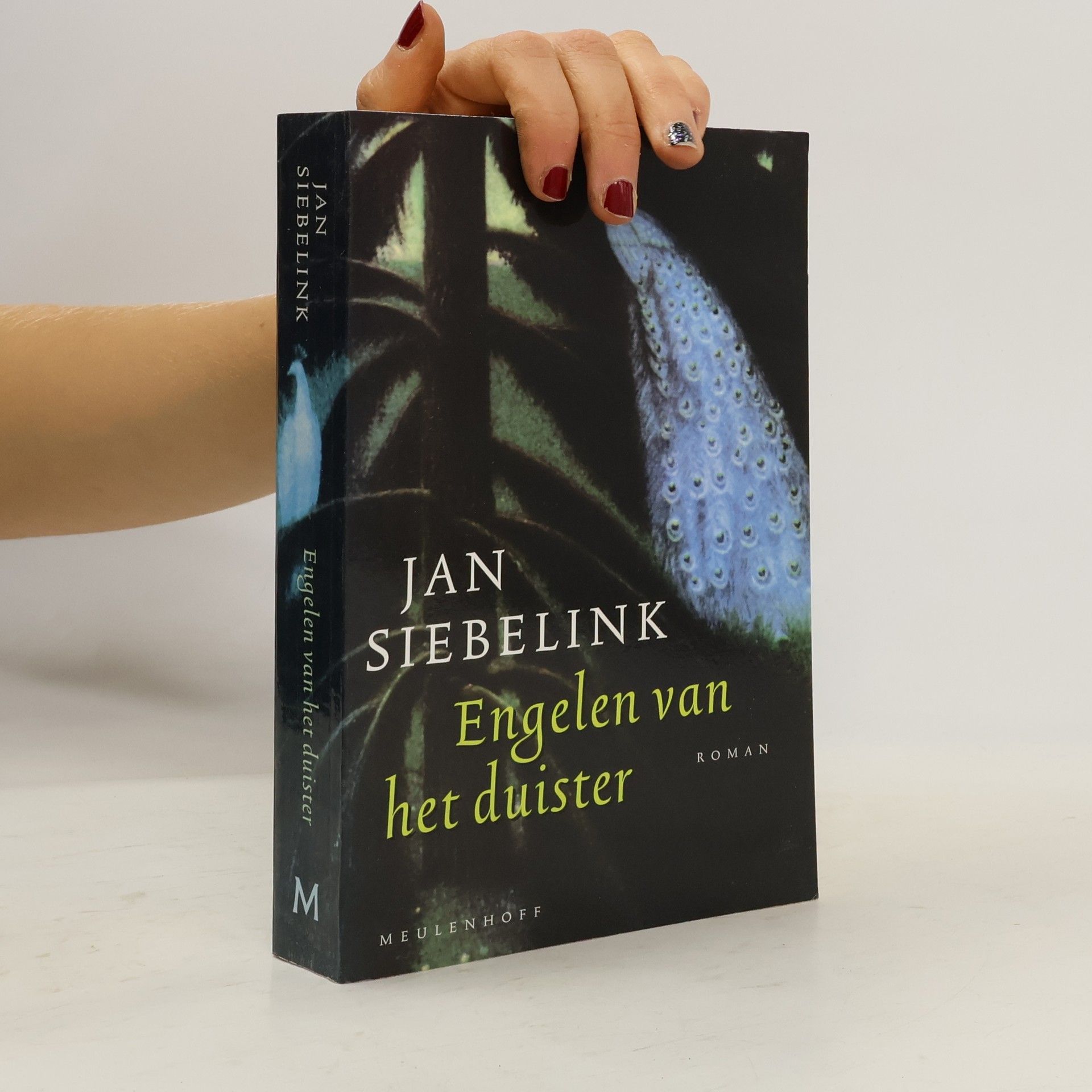 Jan Siebelink Engelen van het duister