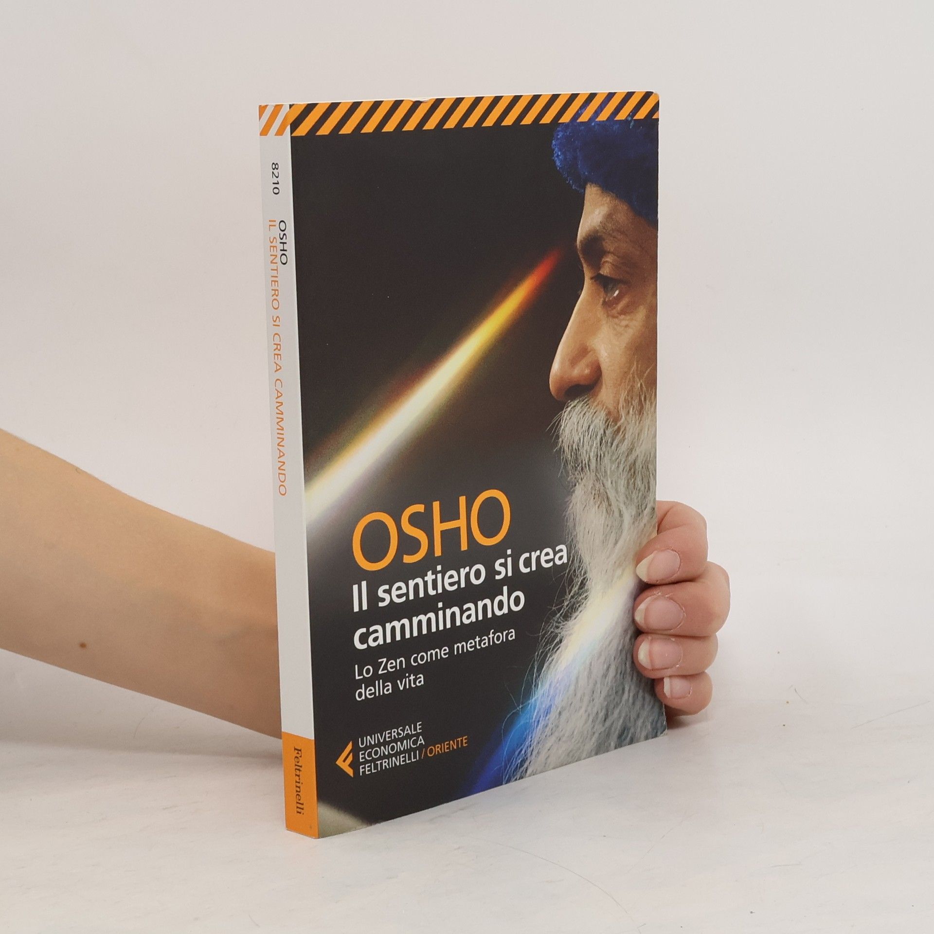 Diwani E. Fatatis Il sentiero si crea camminando