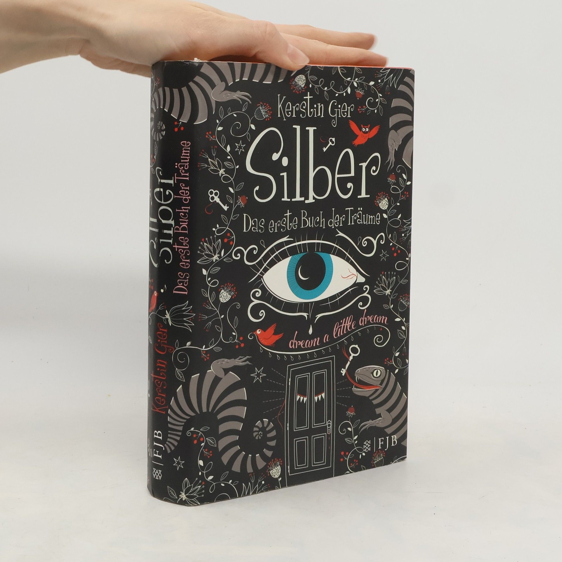 Kerstin Gier Silber. Das erste Buch der Träume