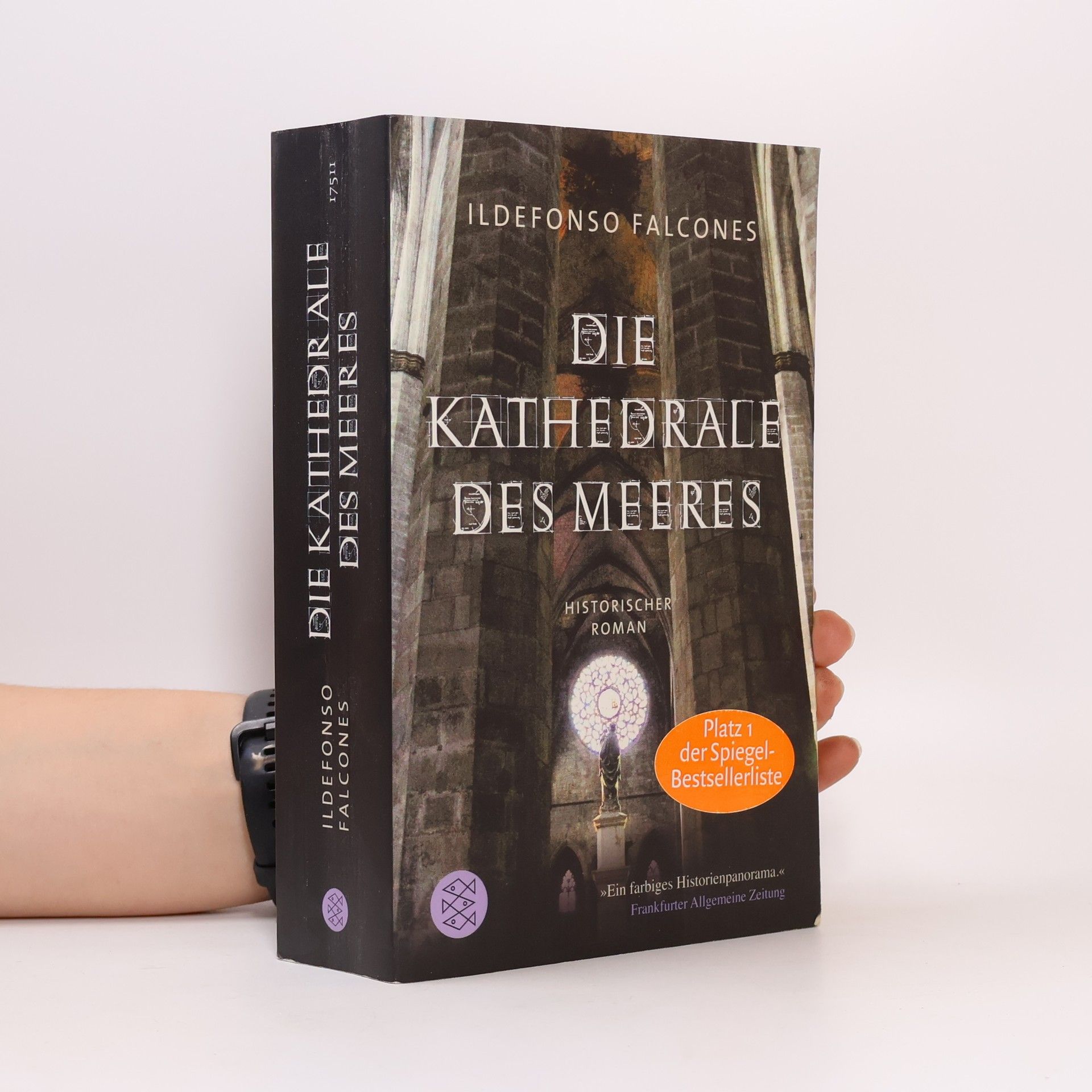 Ildefonso Falcones Die Kathedrale des Meeres