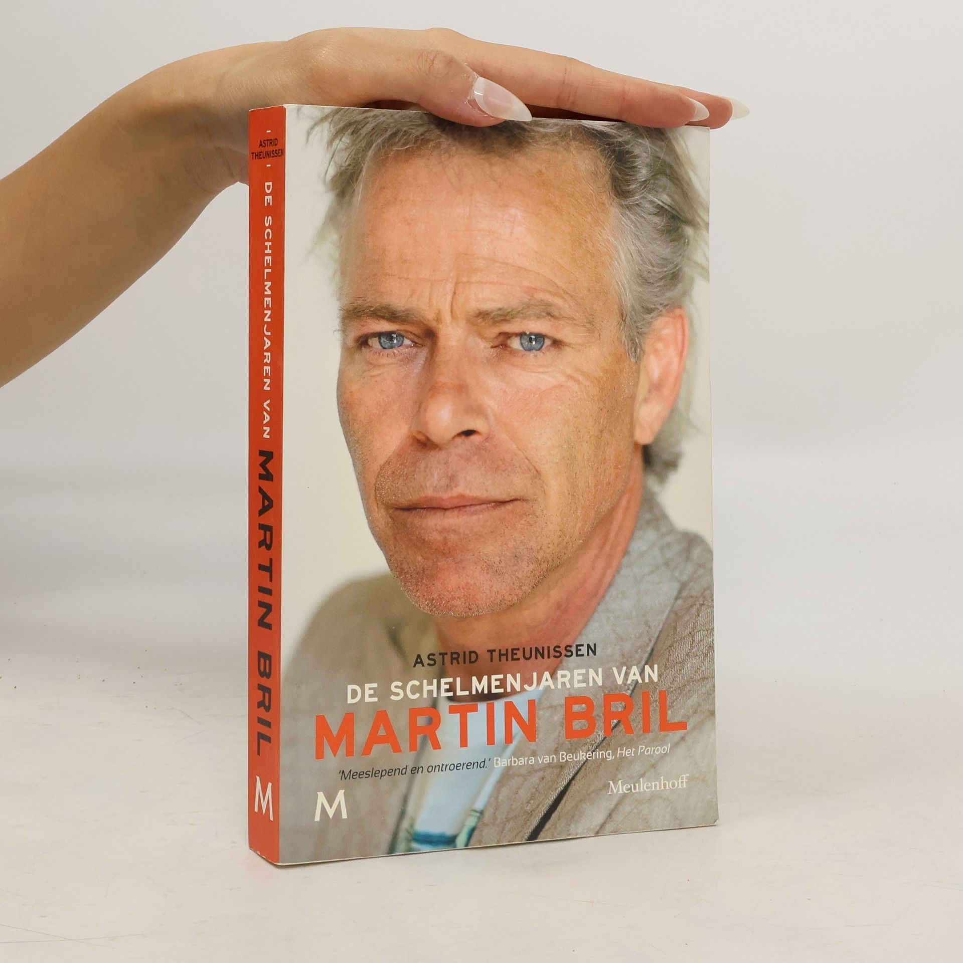 Astrid Theunissen De schelmenjaren van Martin Bril / druk 2