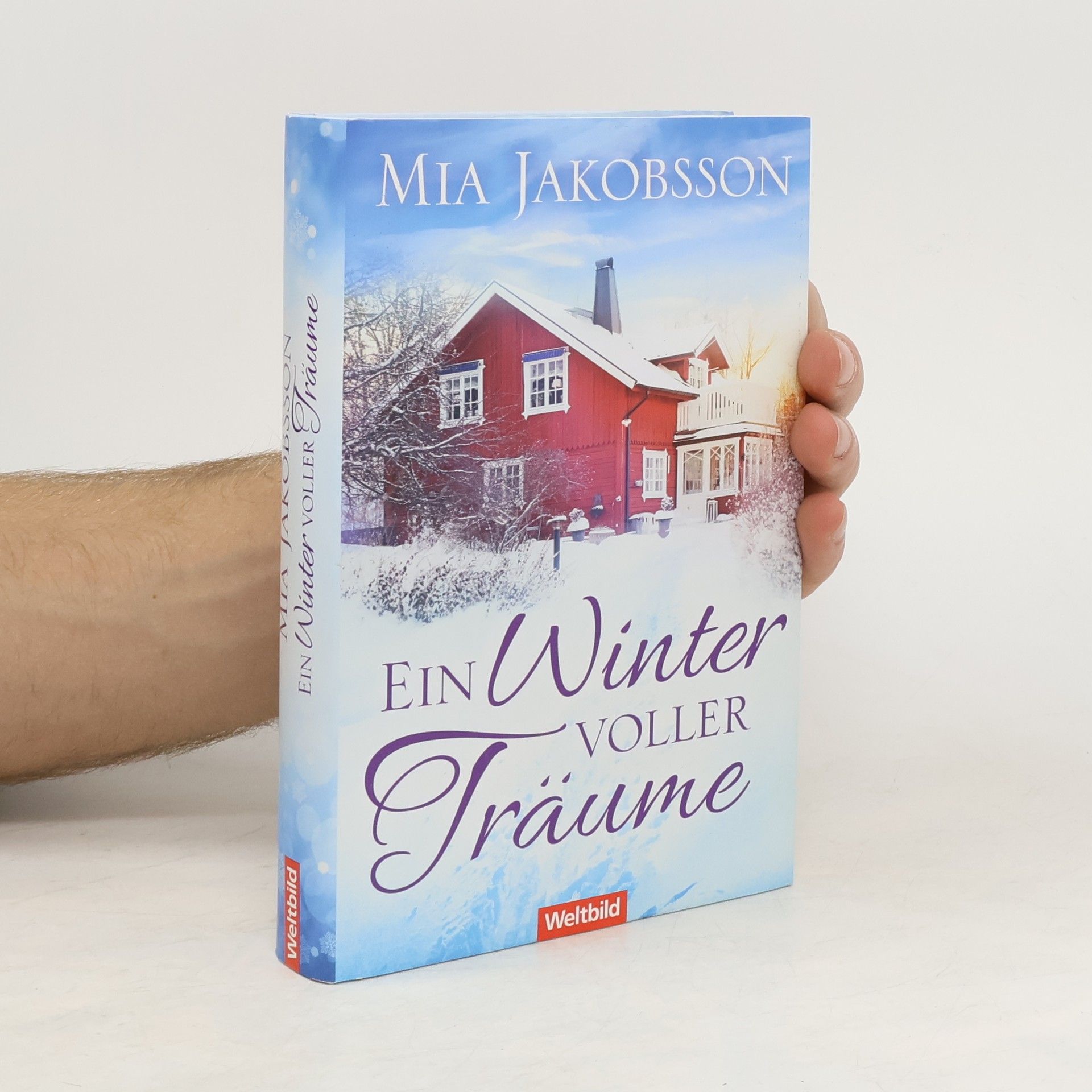 Mia Jakobsson Ein Winter voller Träume