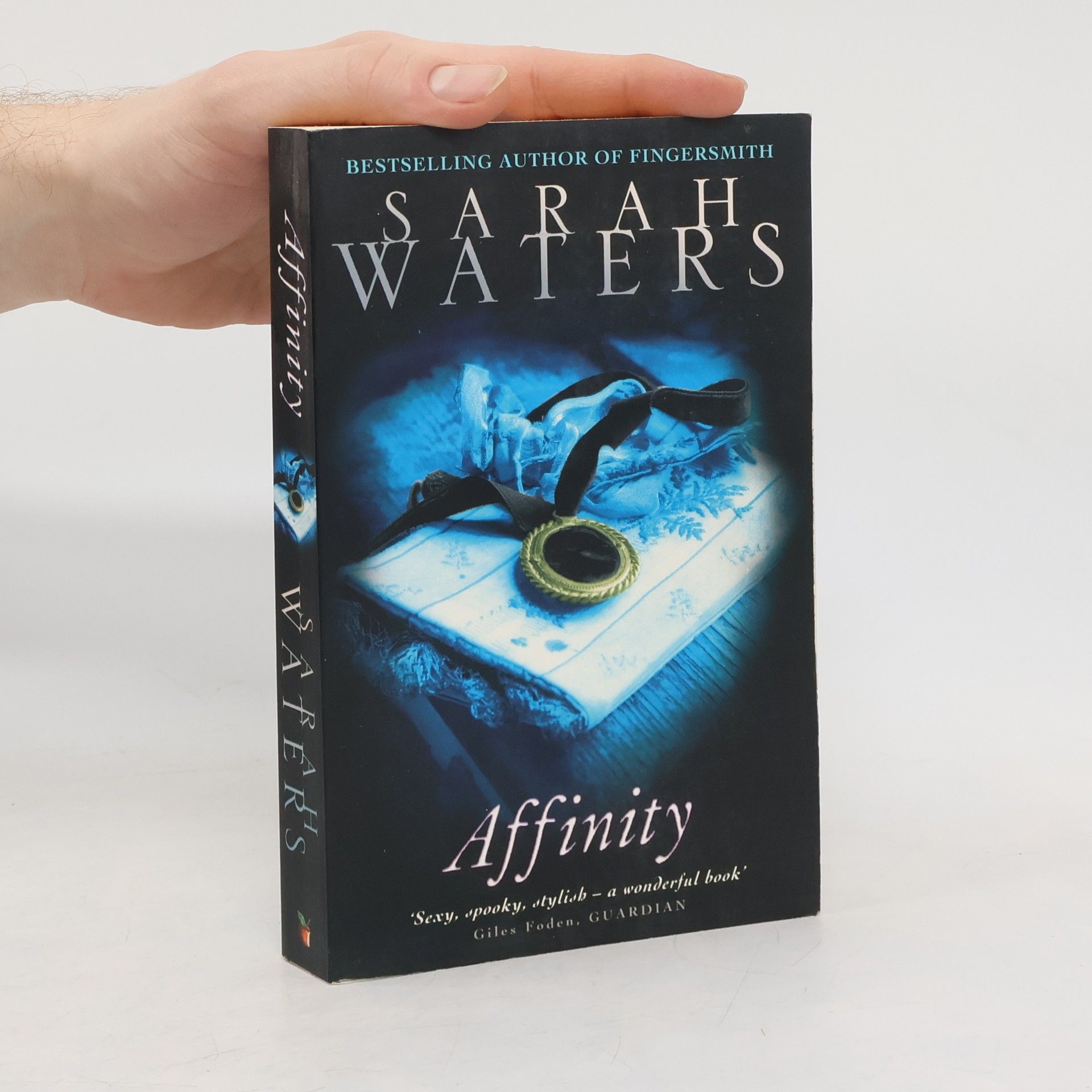 Sarah Waters Affinity