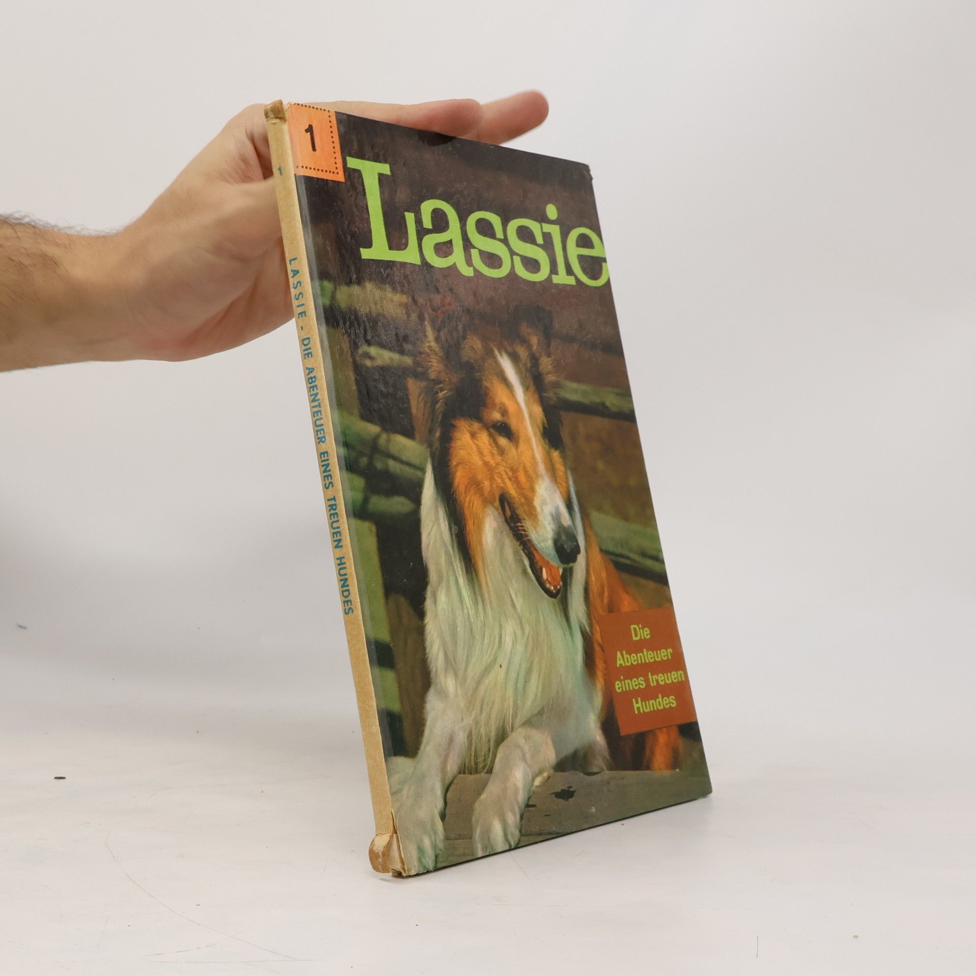 Henri Arnoldus Lassie 7