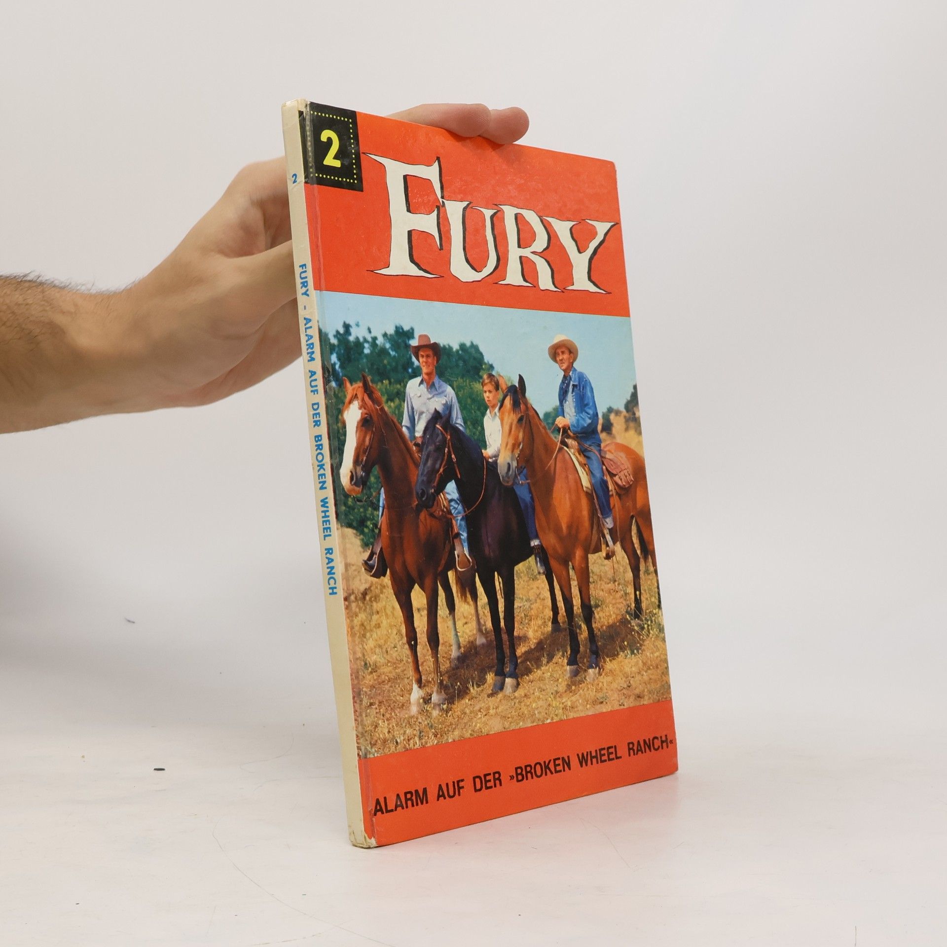 René van Nerum Fury 2