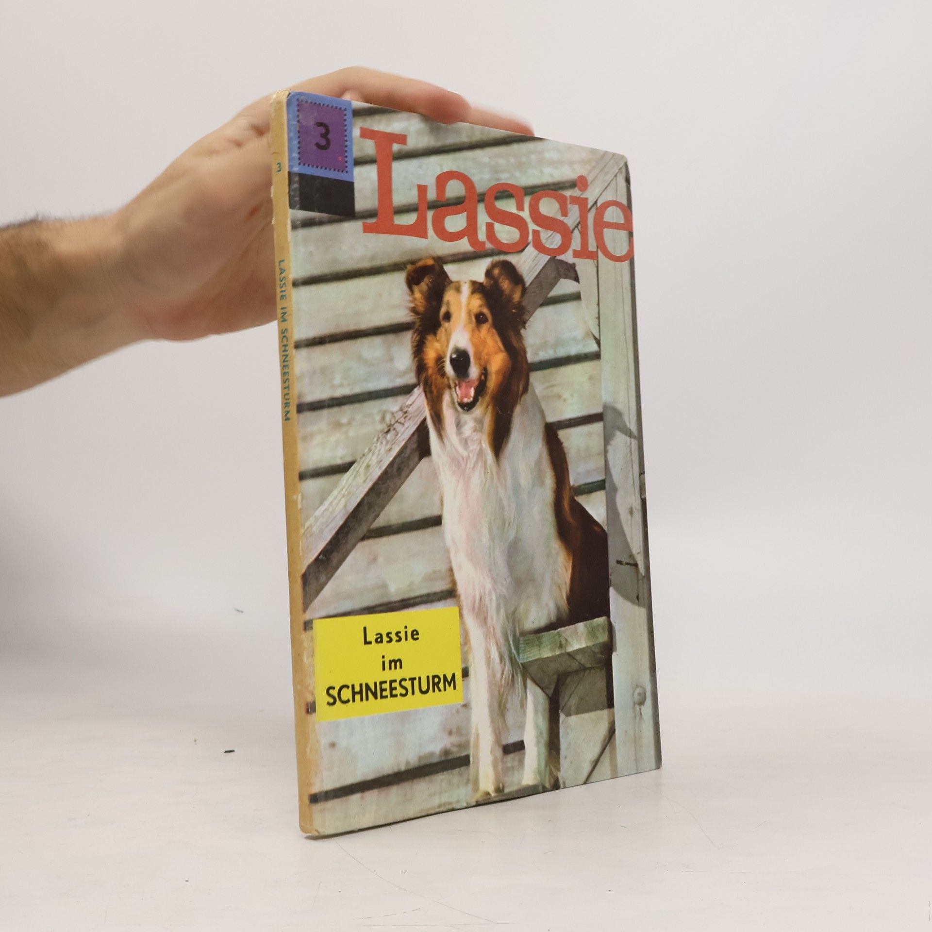 Henri Arnoldus Lassie im Schneesturm 3