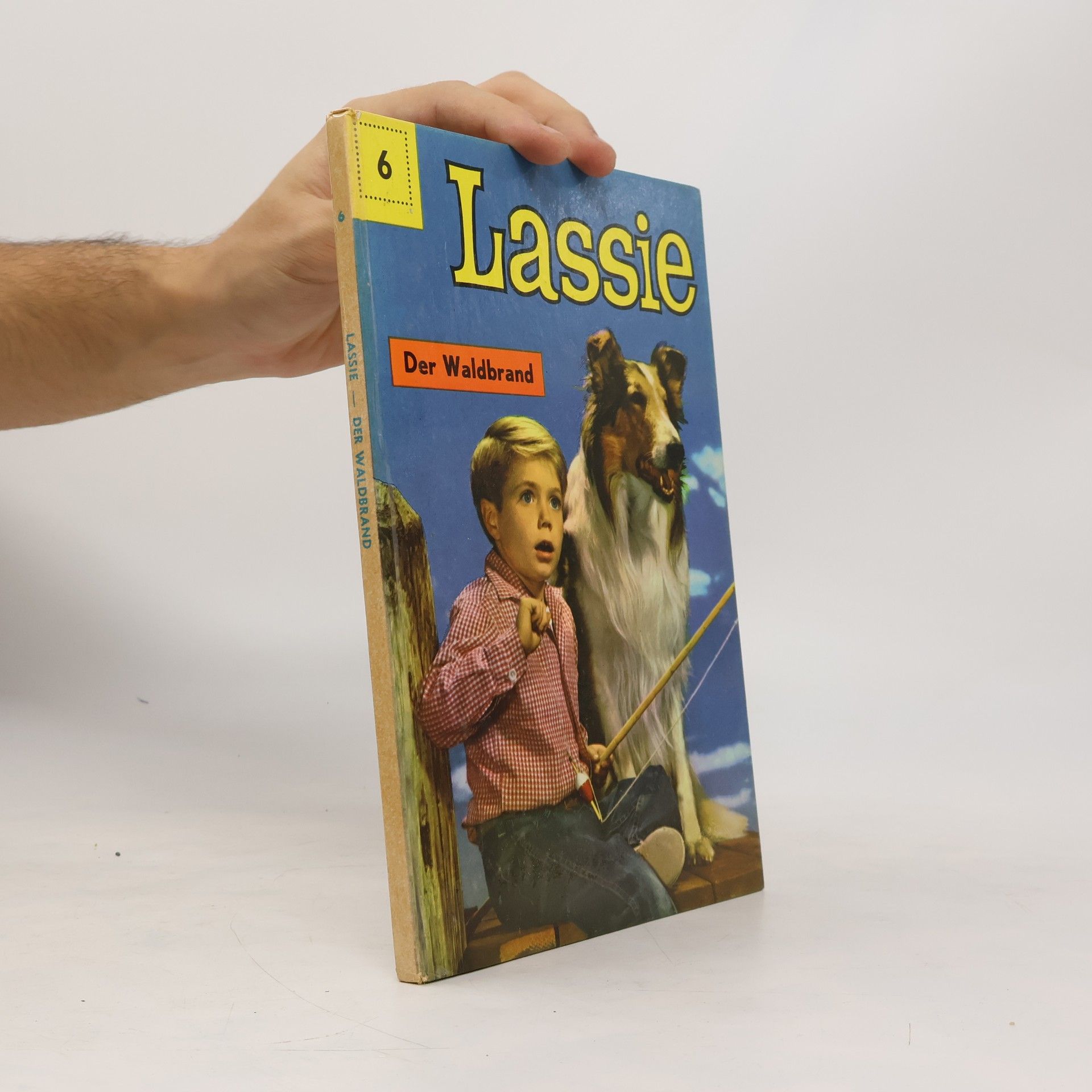 Henri Arnoldus Lassie. Bd. 6. Der Waldbrand