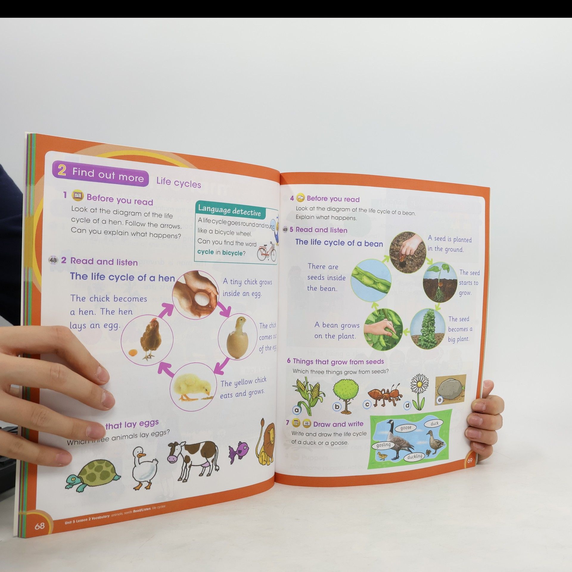 Caroline Linse Cambridge Global English 1. Learner's Book