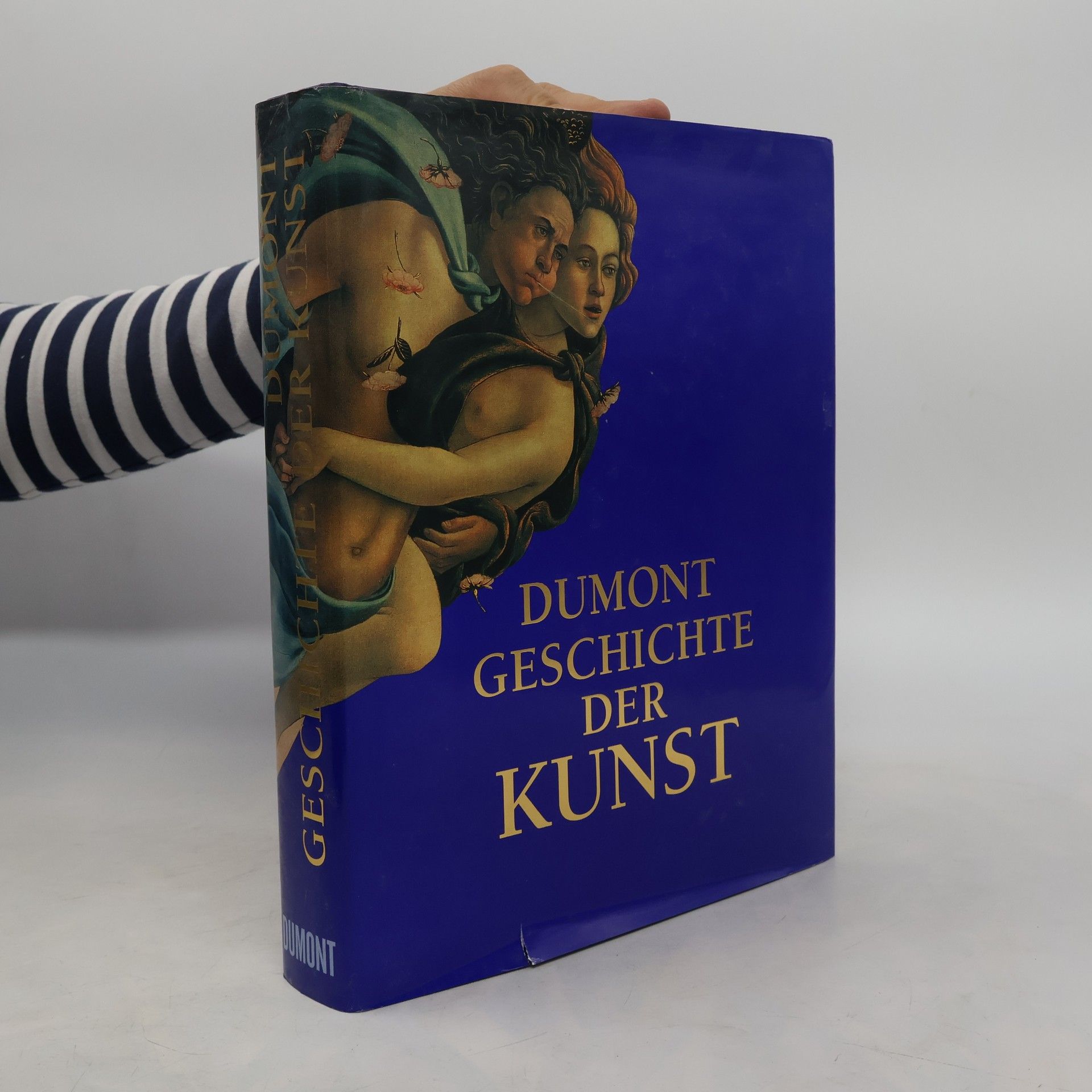 Martin Kemp DuMont Geschichte der Kunst