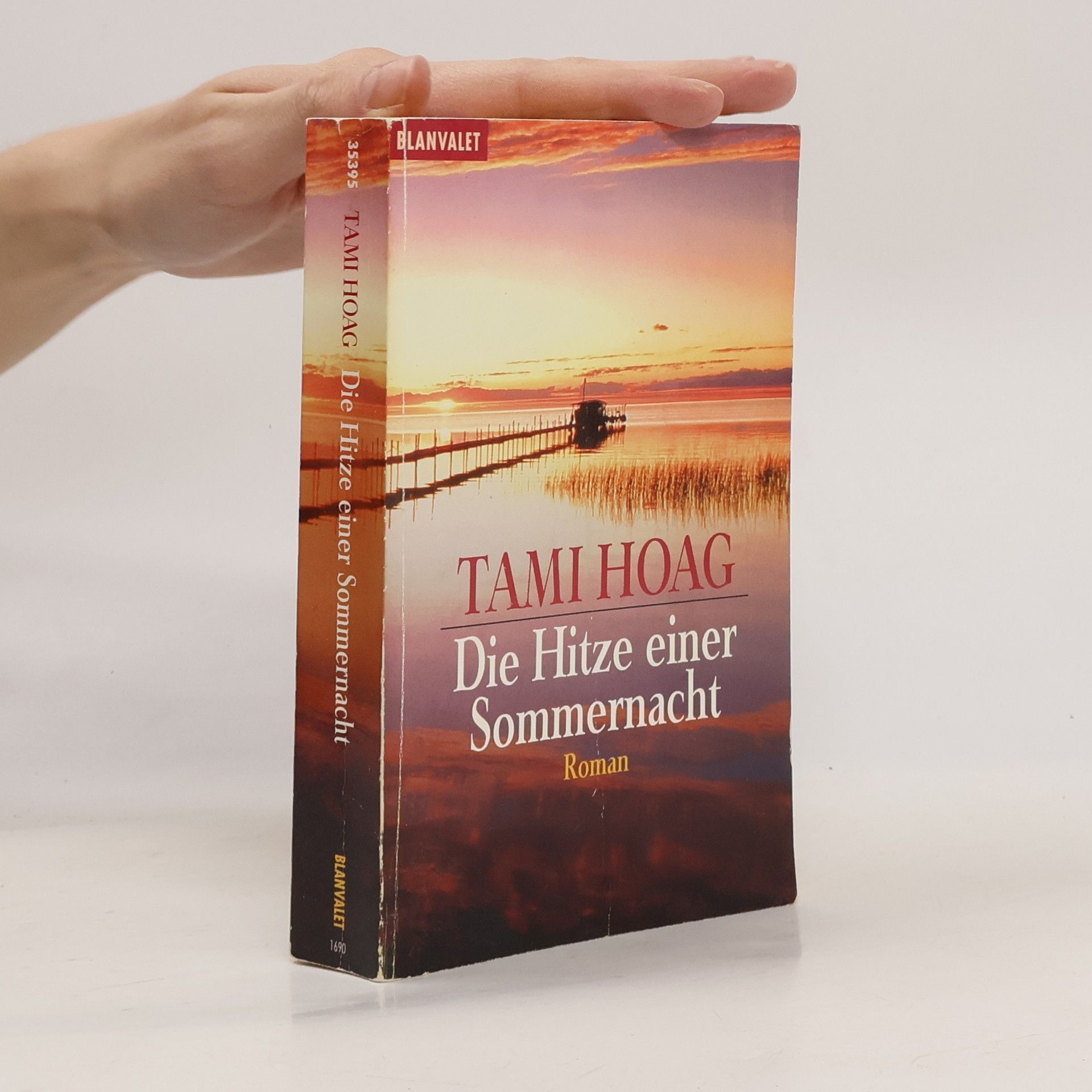 Tami Hoag Die Hitze einer Sommernacht