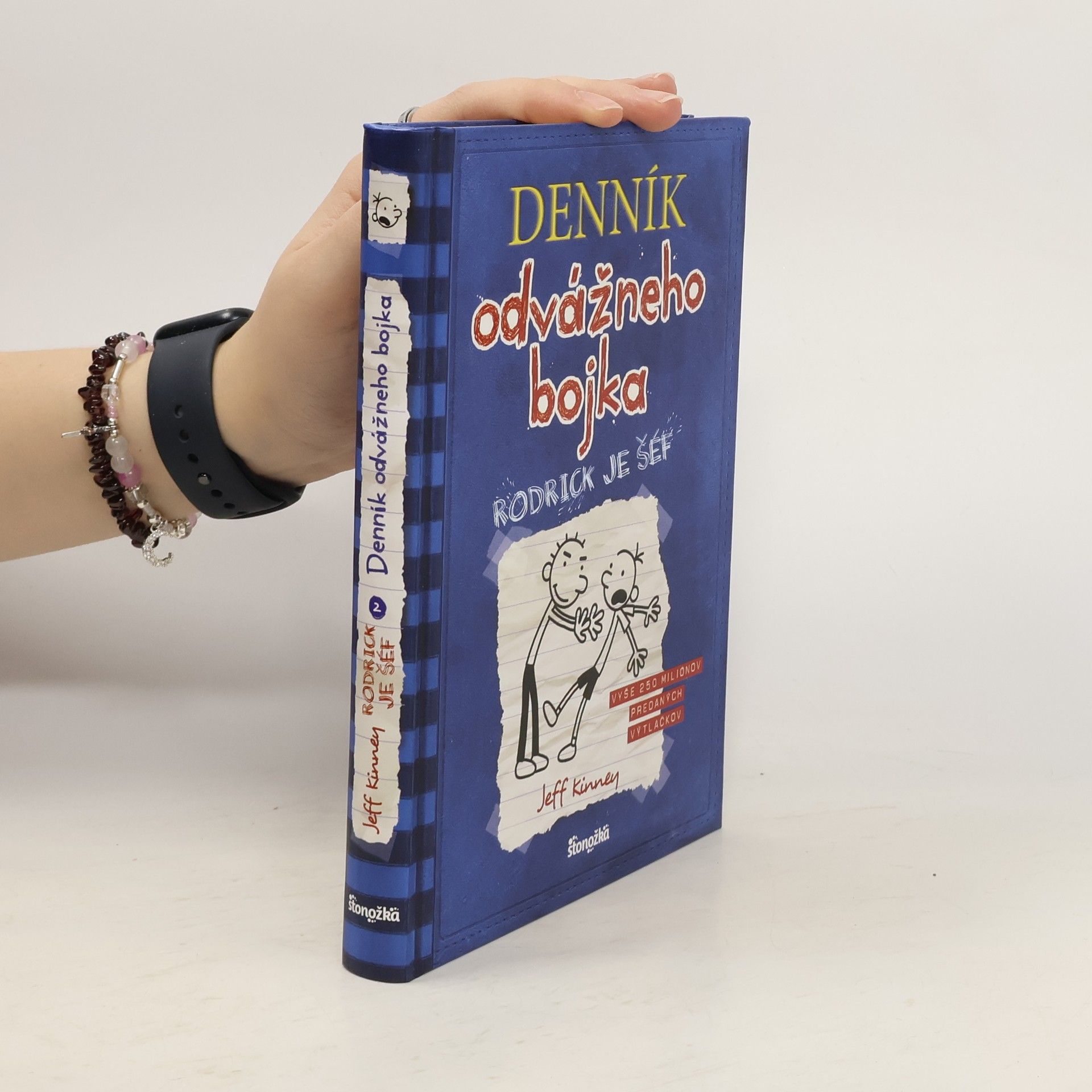 Elena Guričanová Denník odvážneho bojka. Rodrick je šéf