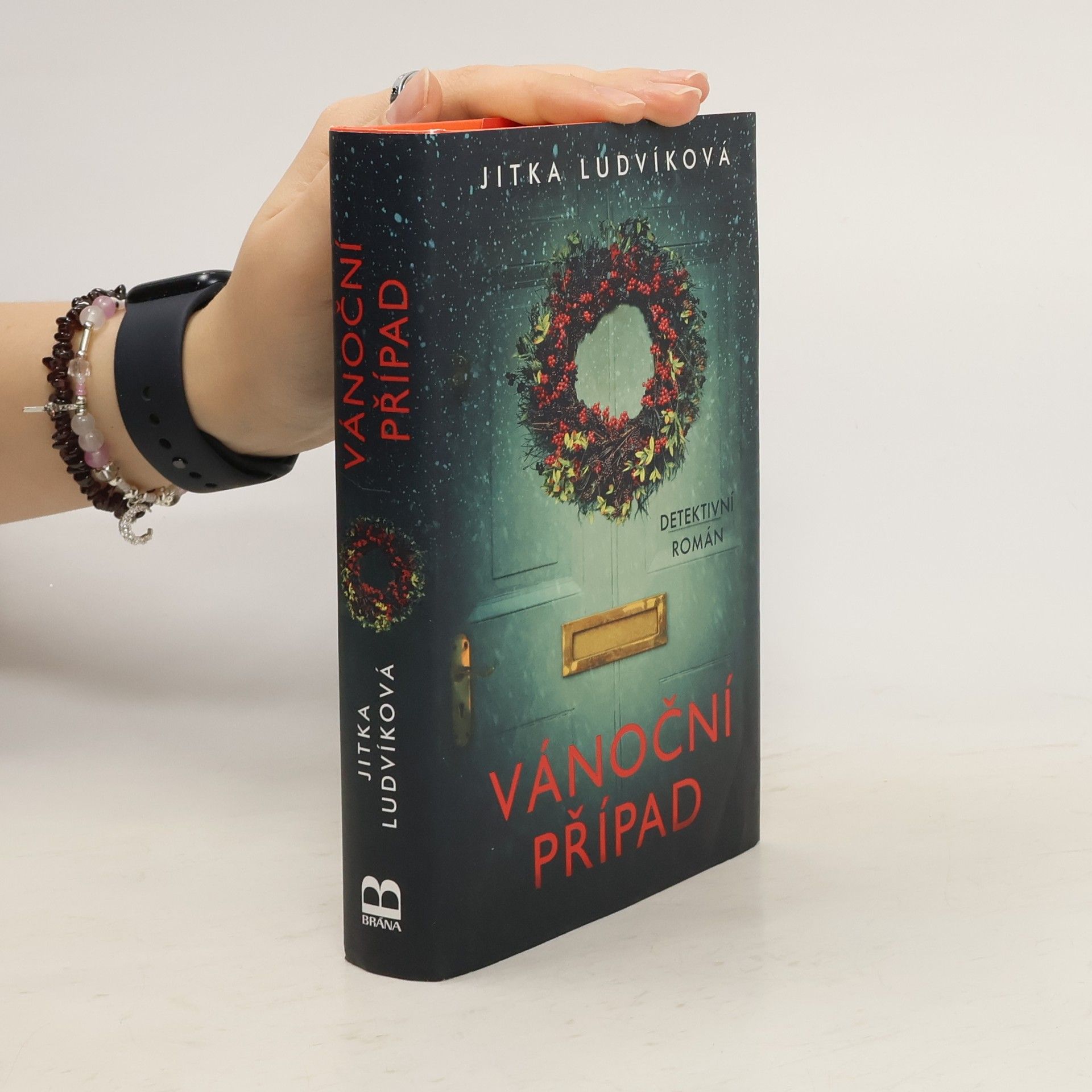 Jitka Ludvíková Vánoční případ