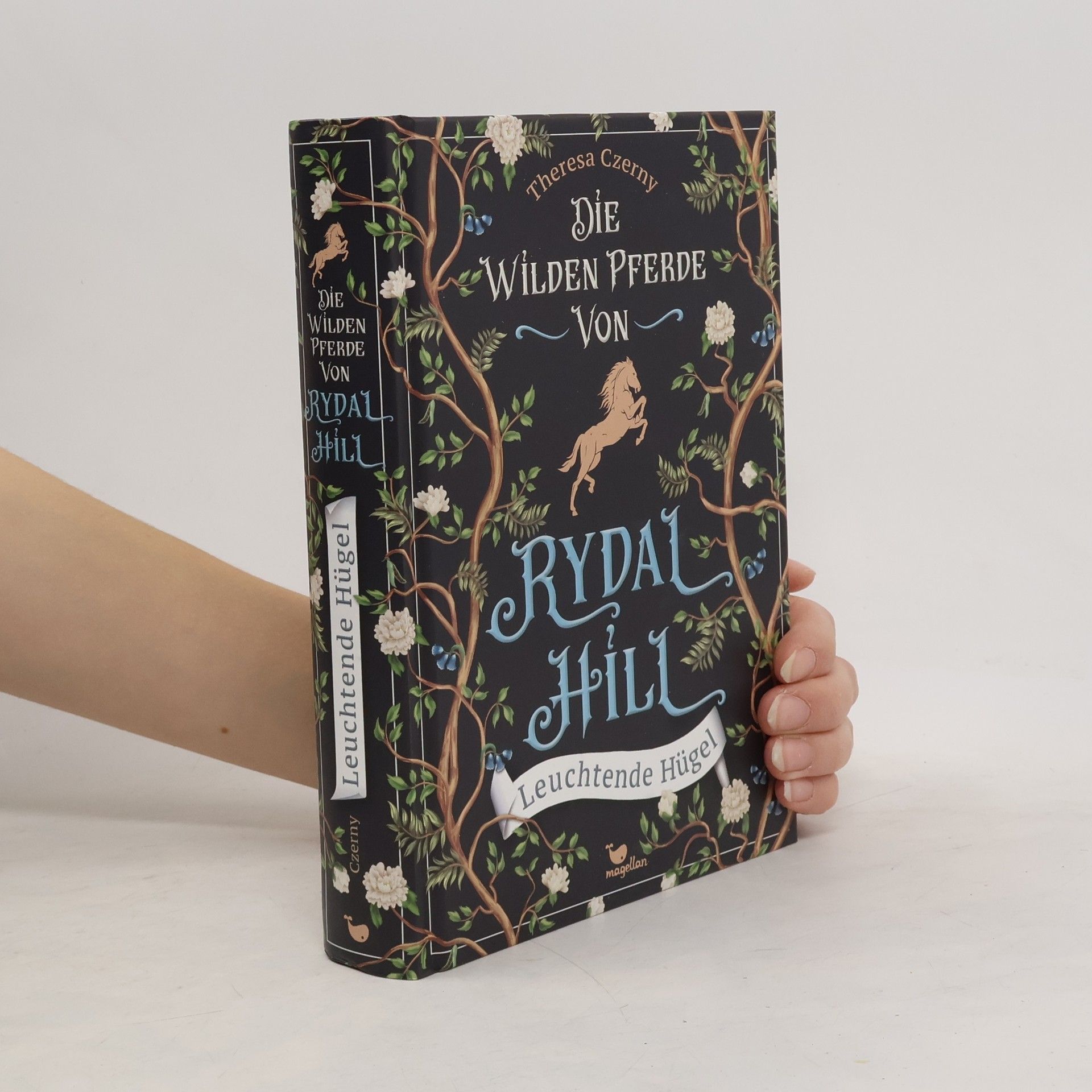 Theresa Czerny Leuchtende Hügel