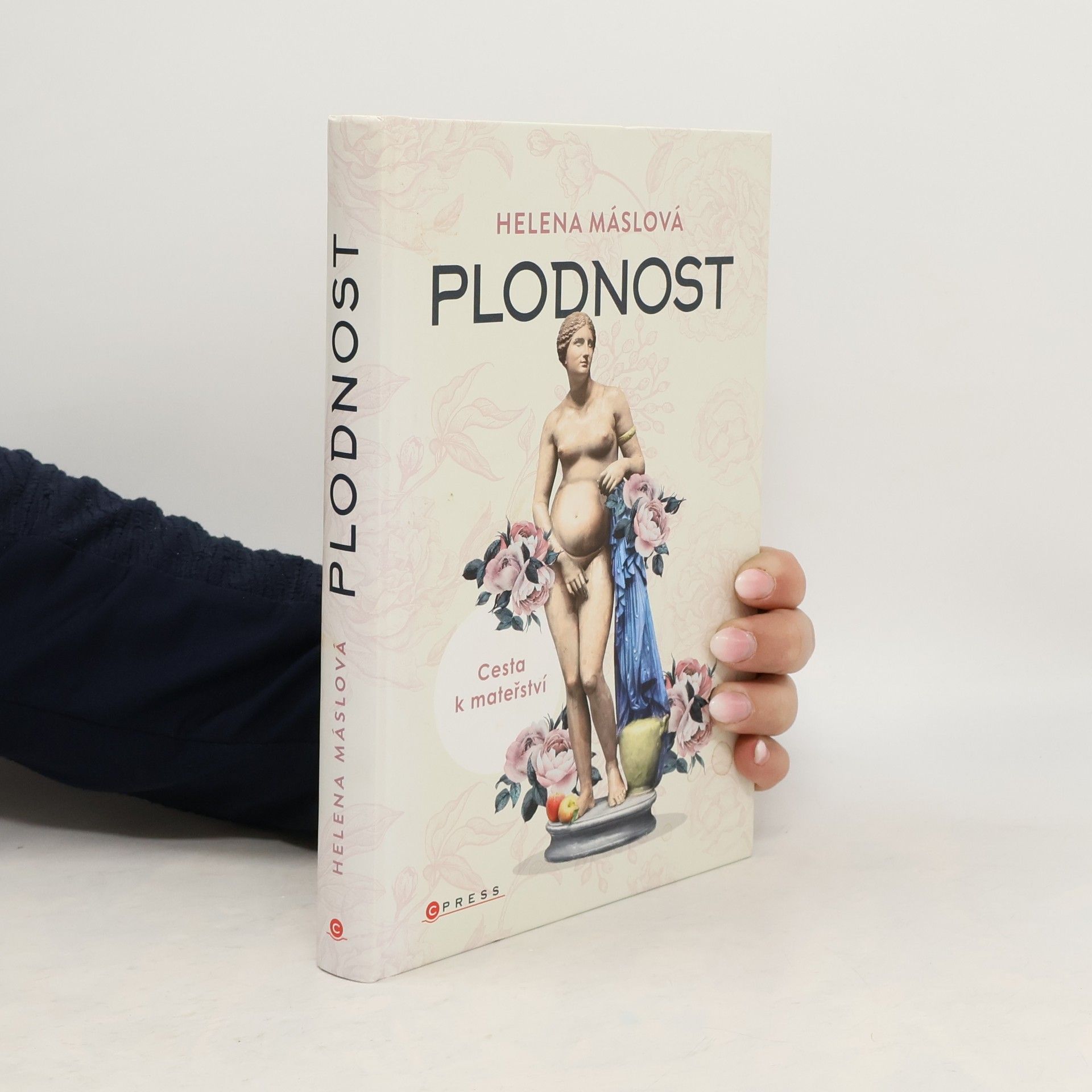 Helena Máslová Plodnost : cesta k mateřství
