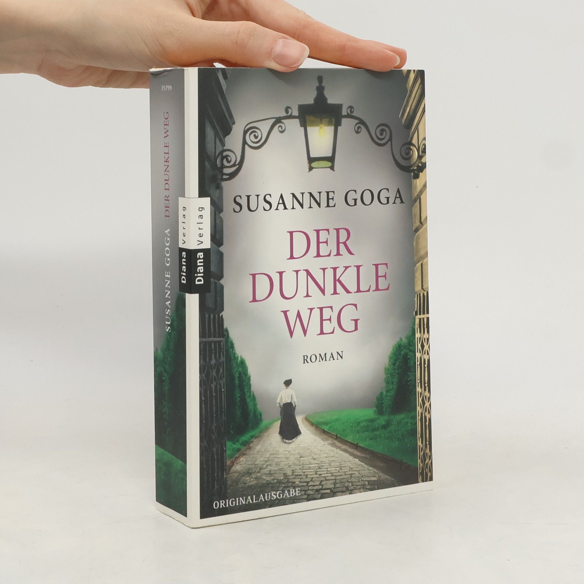 Susanne Goga Der dunkle Weg