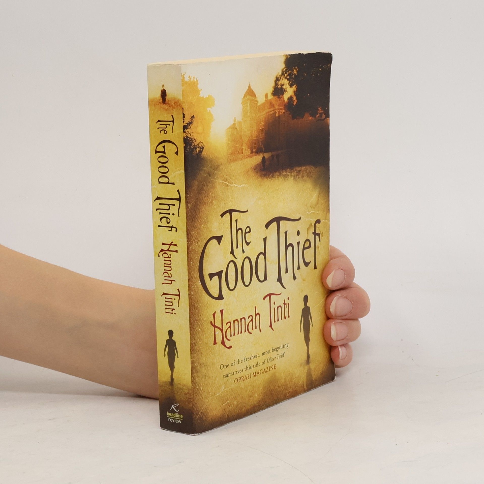 Hannah Tinti The Good Thief