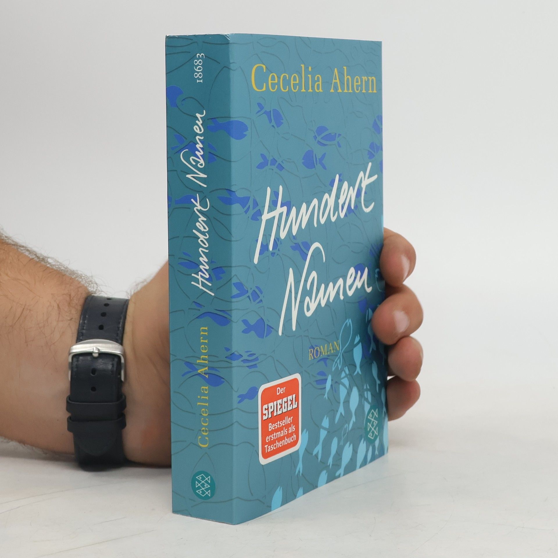 Cecelia Ahern Hundert Namen