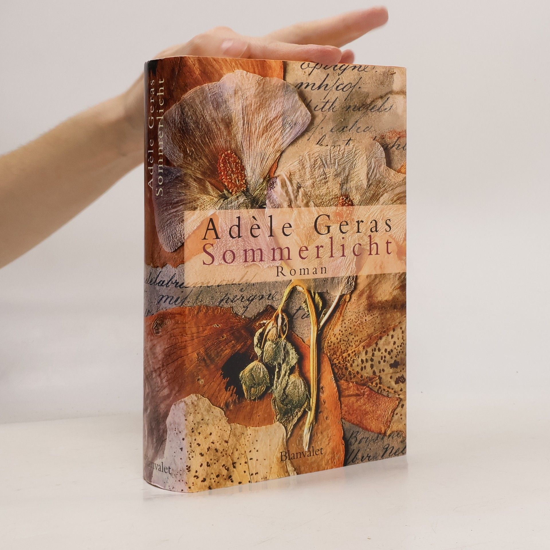 Adéle Geras Sommerlicht