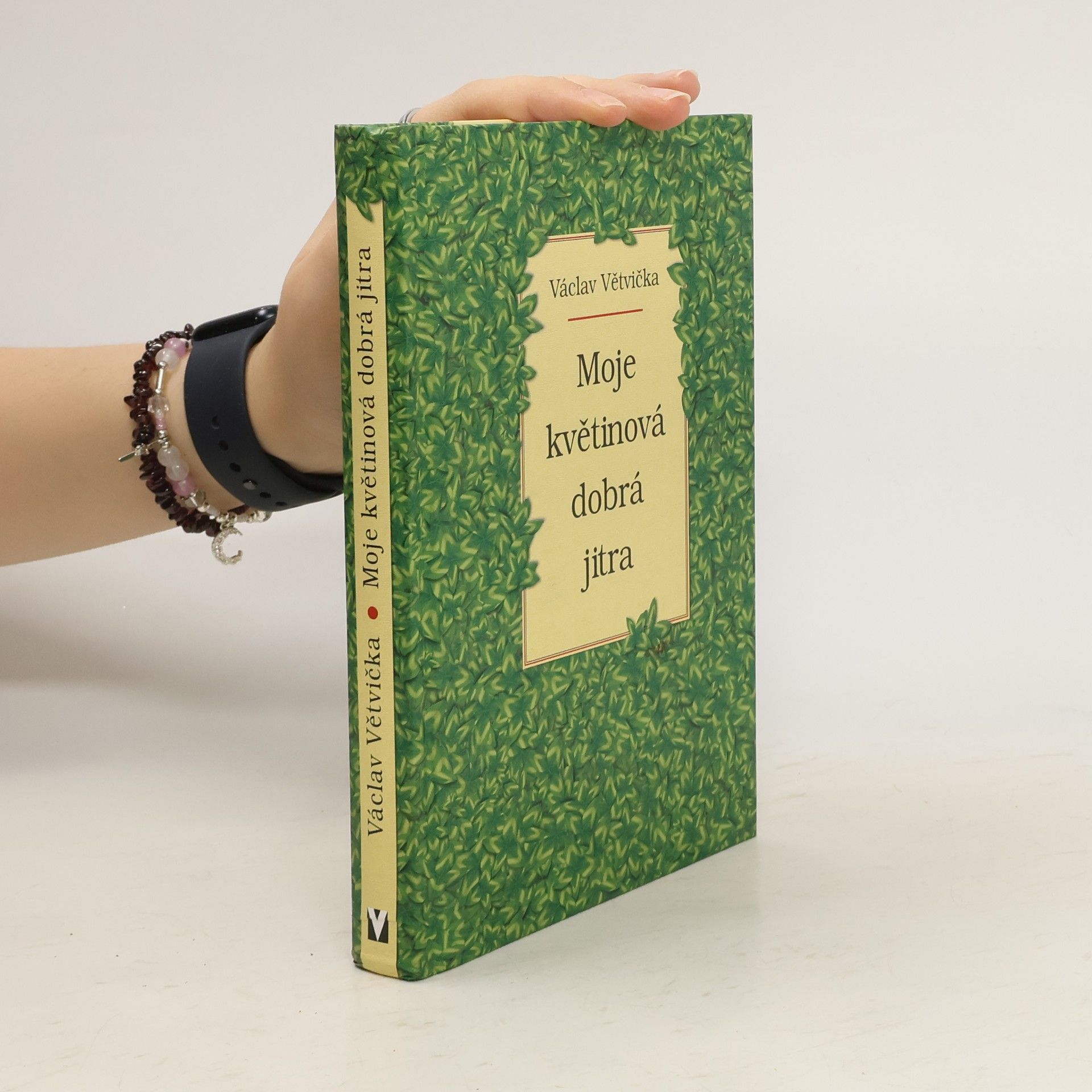 Václav Větvička Moje květinová dobrá jitra