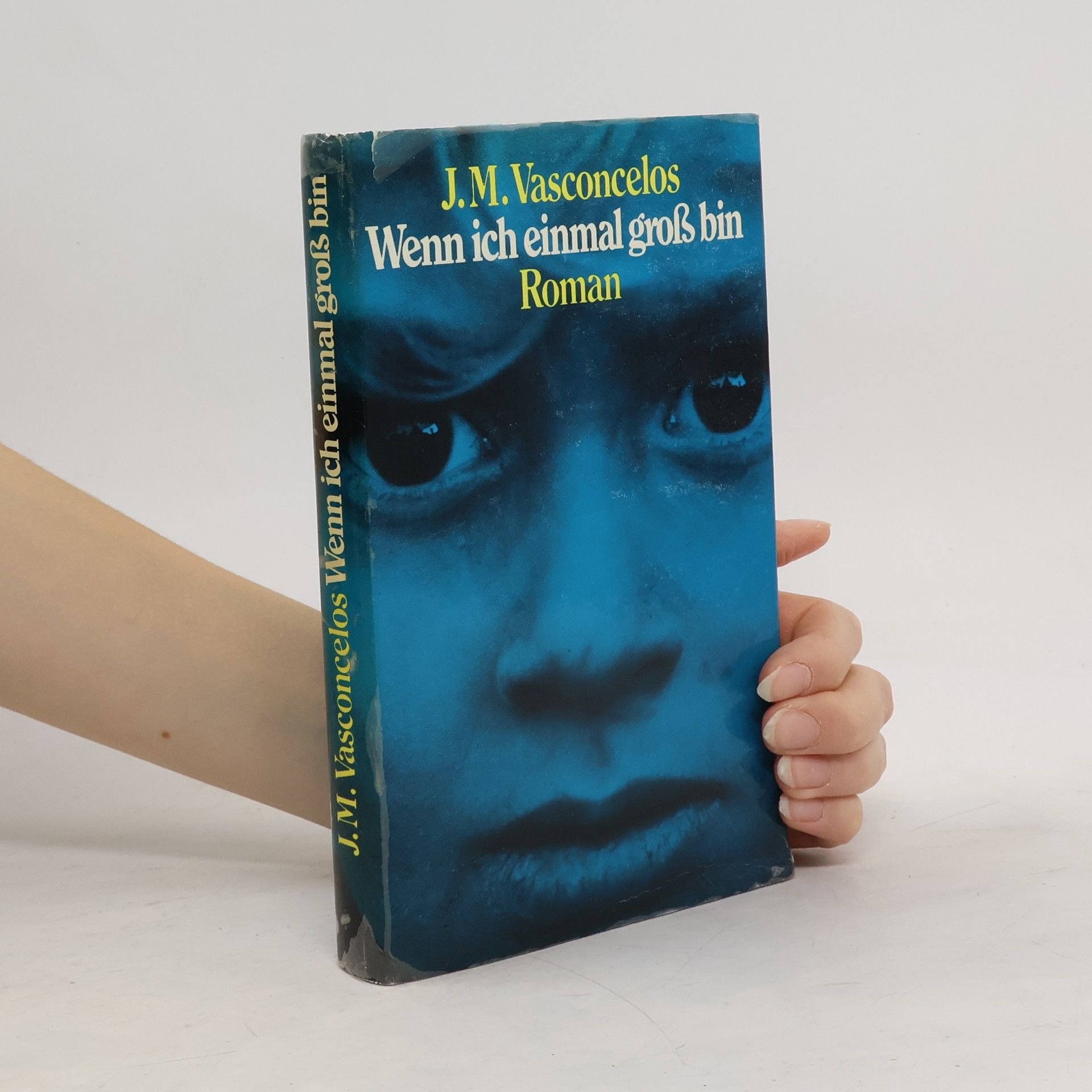 J. M. Vasconcelos Wenn ich einmal groß bin
