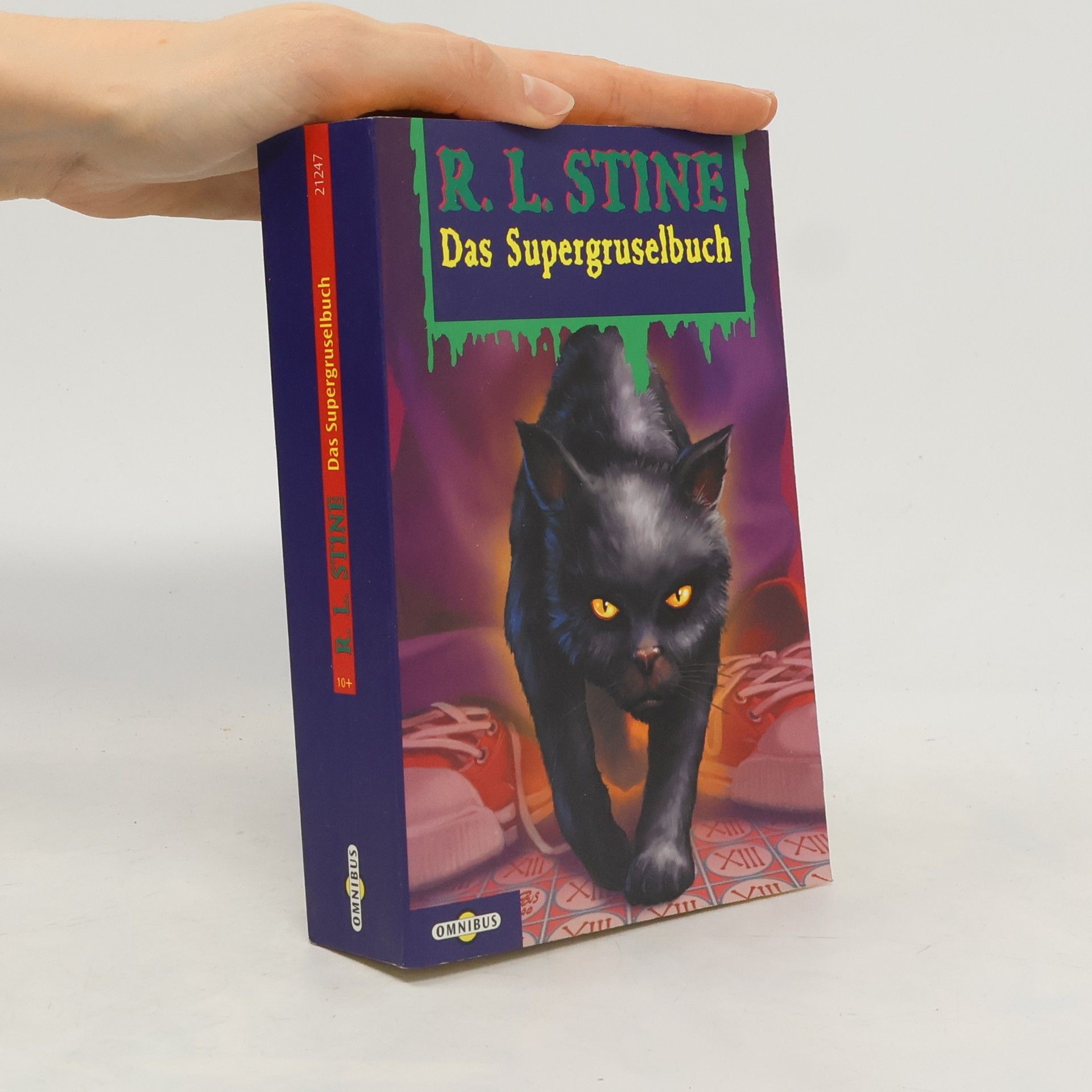 R. L. Stine Das Supergruselbuch