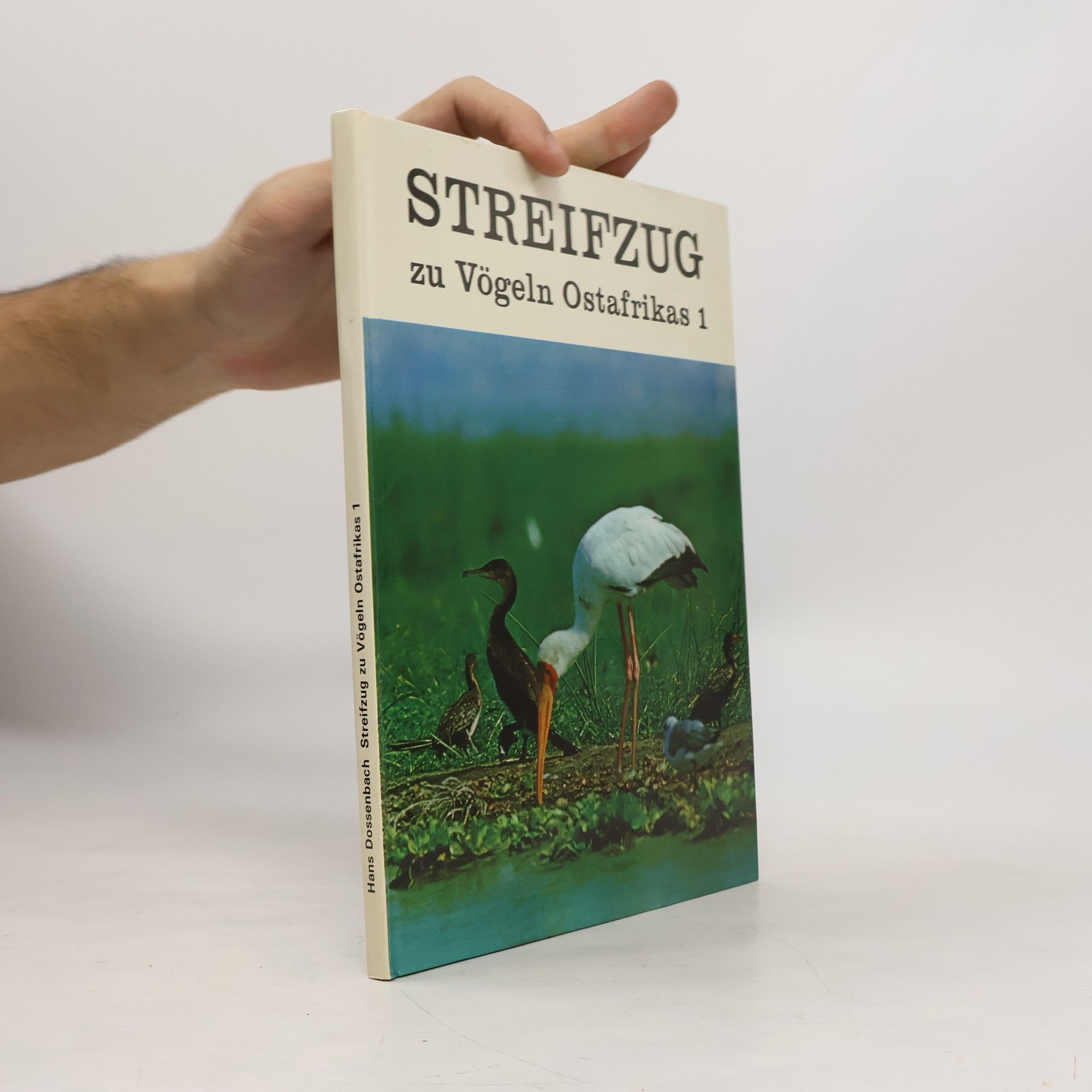 Streifzug zu Vögeln Ostafrikas 1