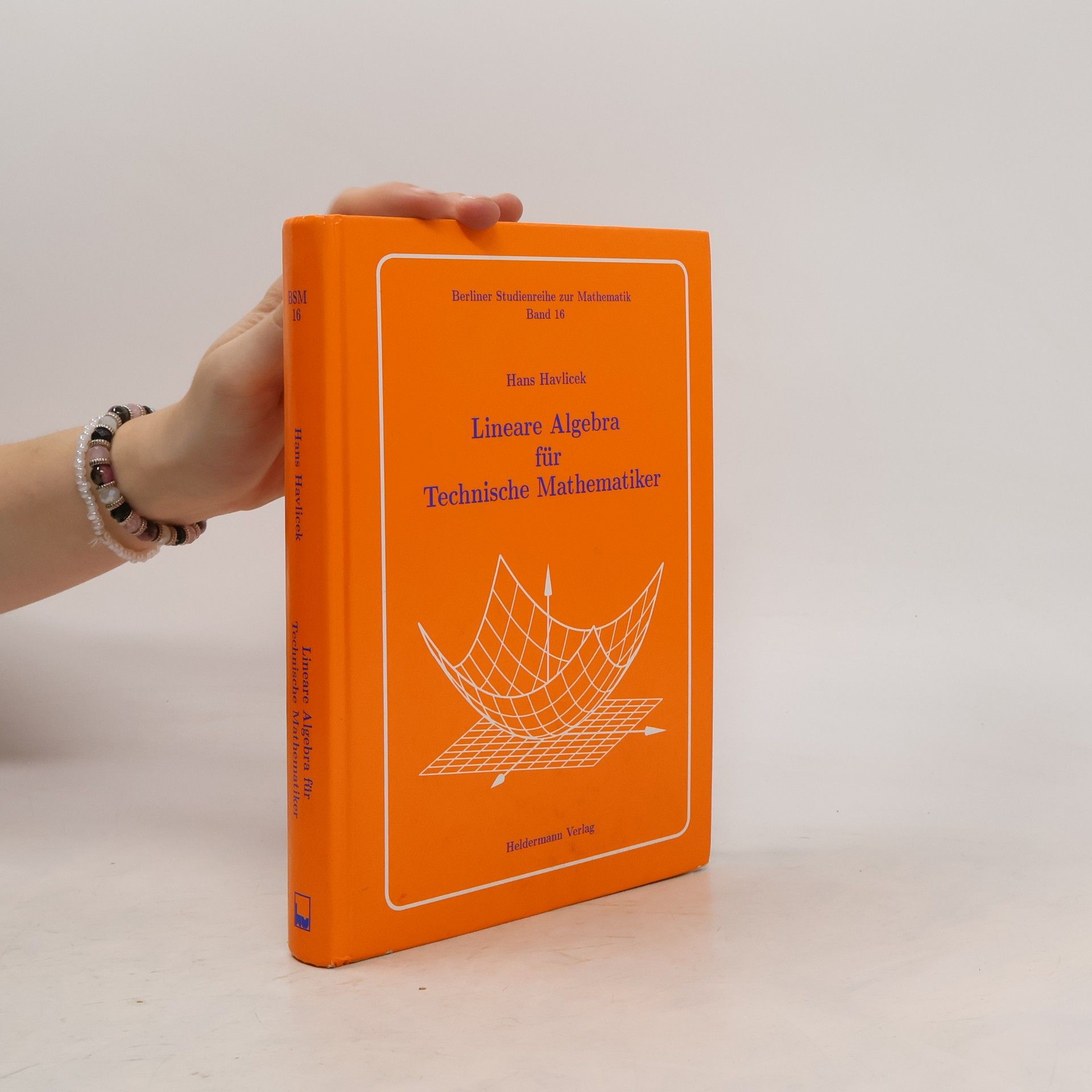 Hans Havlicek Lineare Algebra für technische Mathematiker