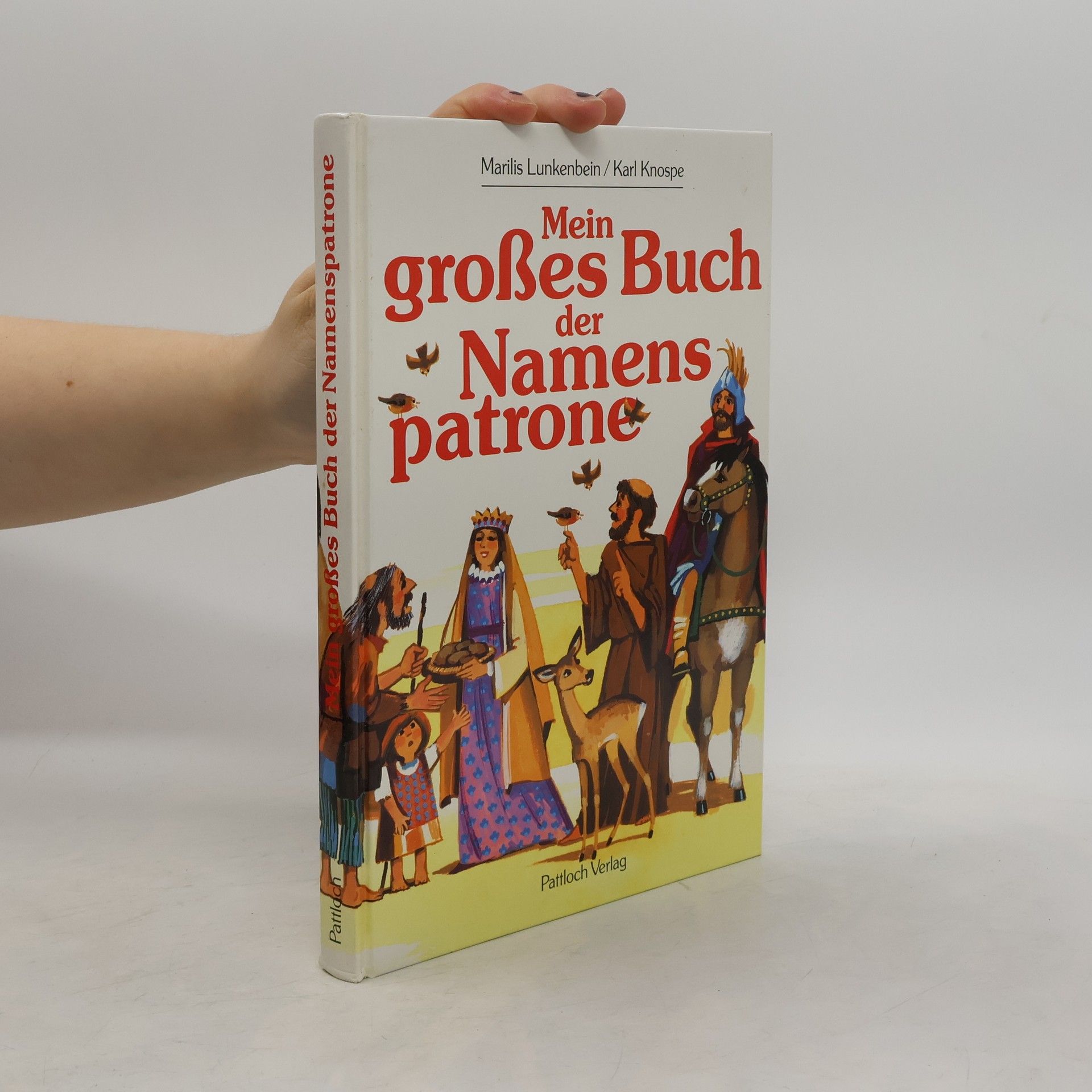 Mein grosses Buch der Namenspatrone