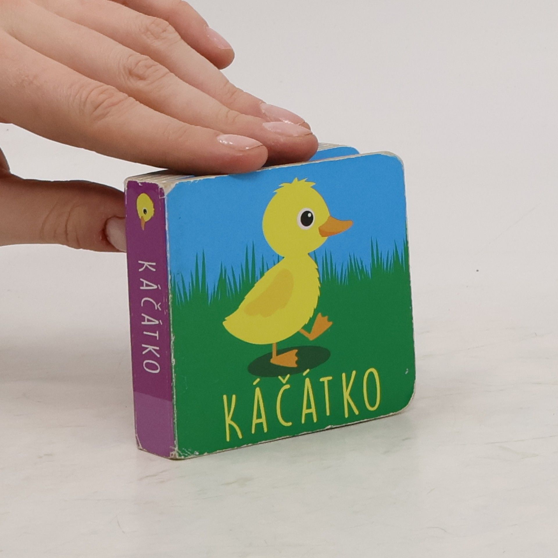 Kathy Broderick Káčátko