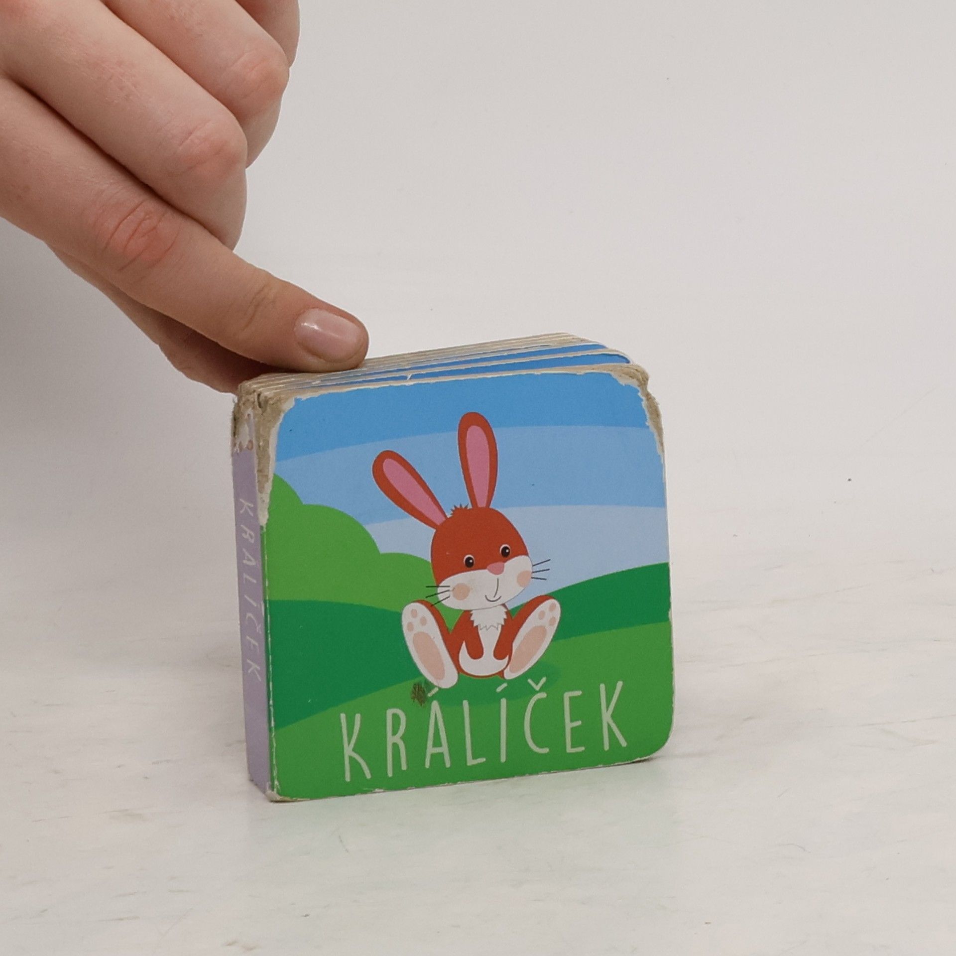 Králíček