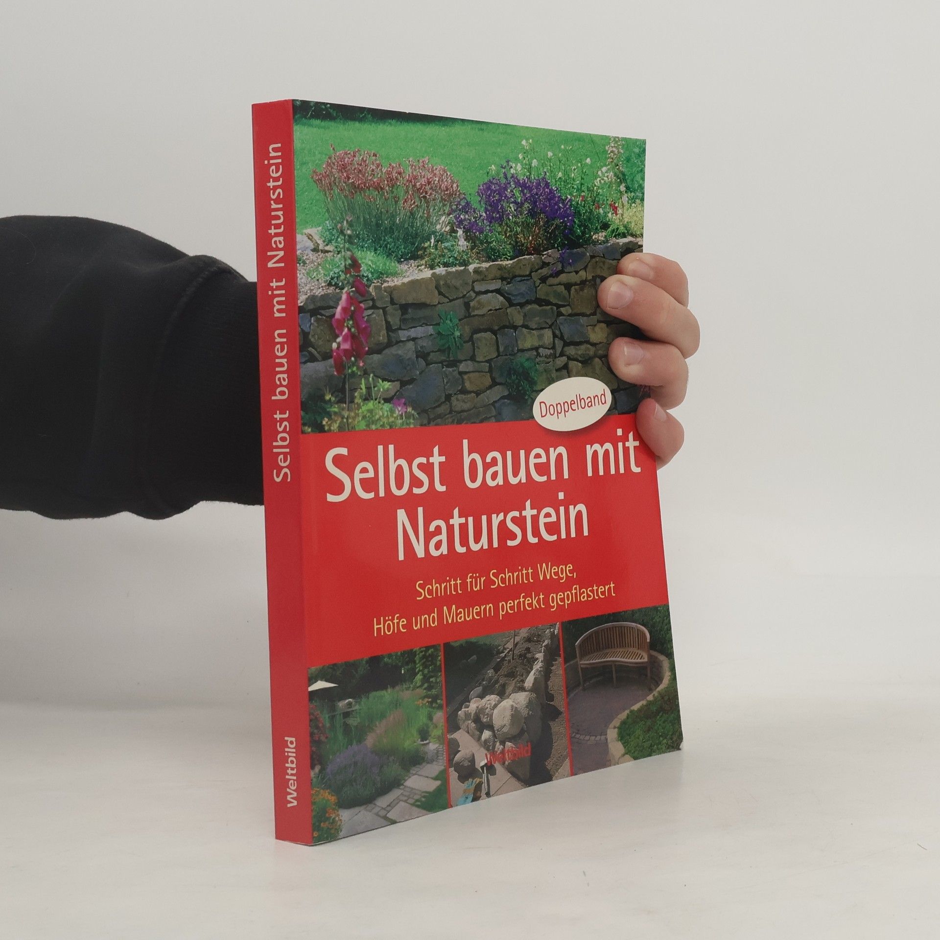 Collectif d'auteurs Selbst bauen mit Naturstein