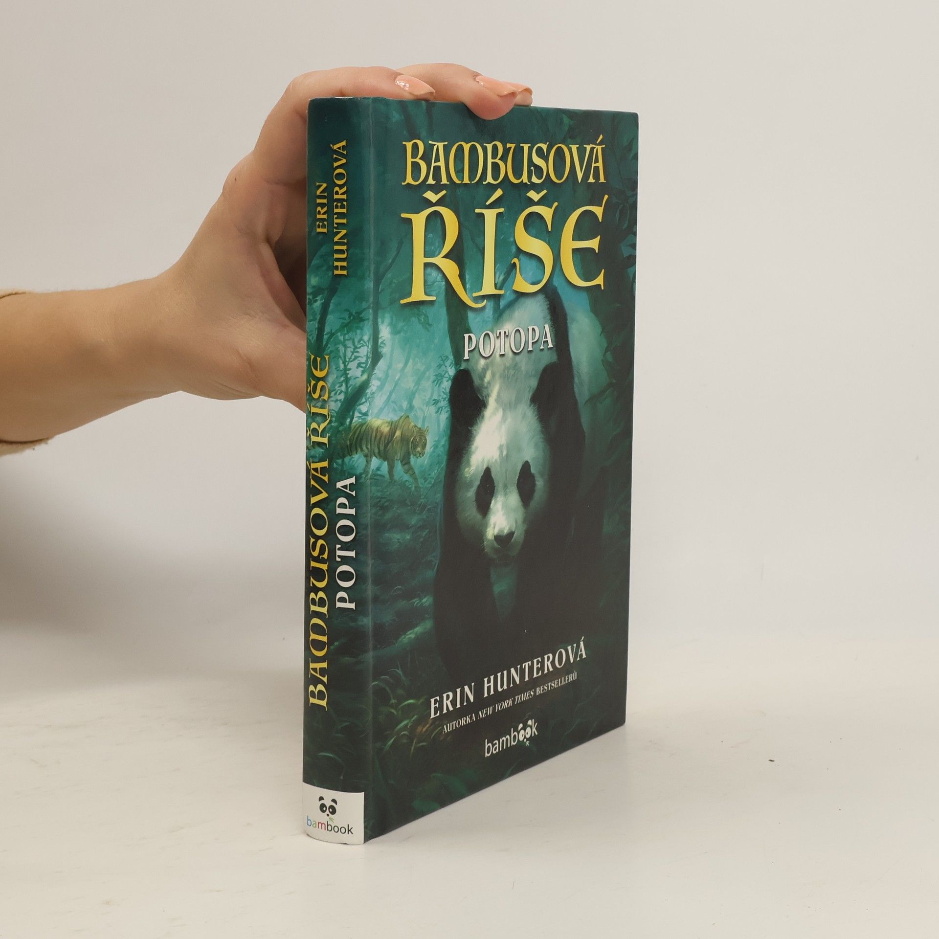 Bambusová říše. Potopa