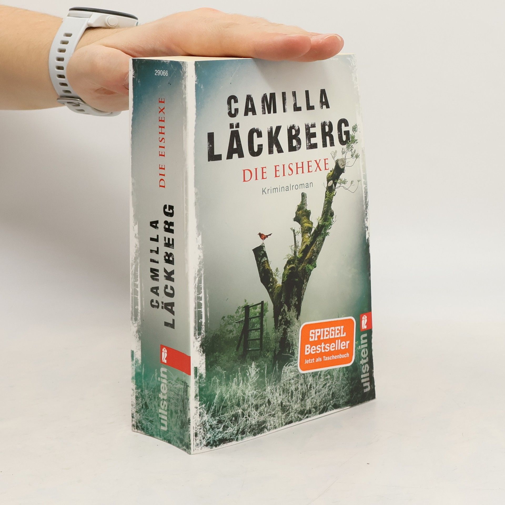 Camilla Läckberg Die Eishexe