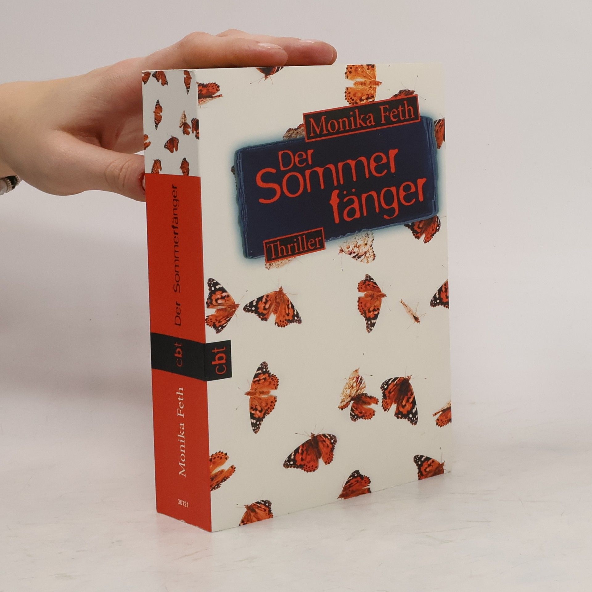 Monika Feth Der Sommerfänger