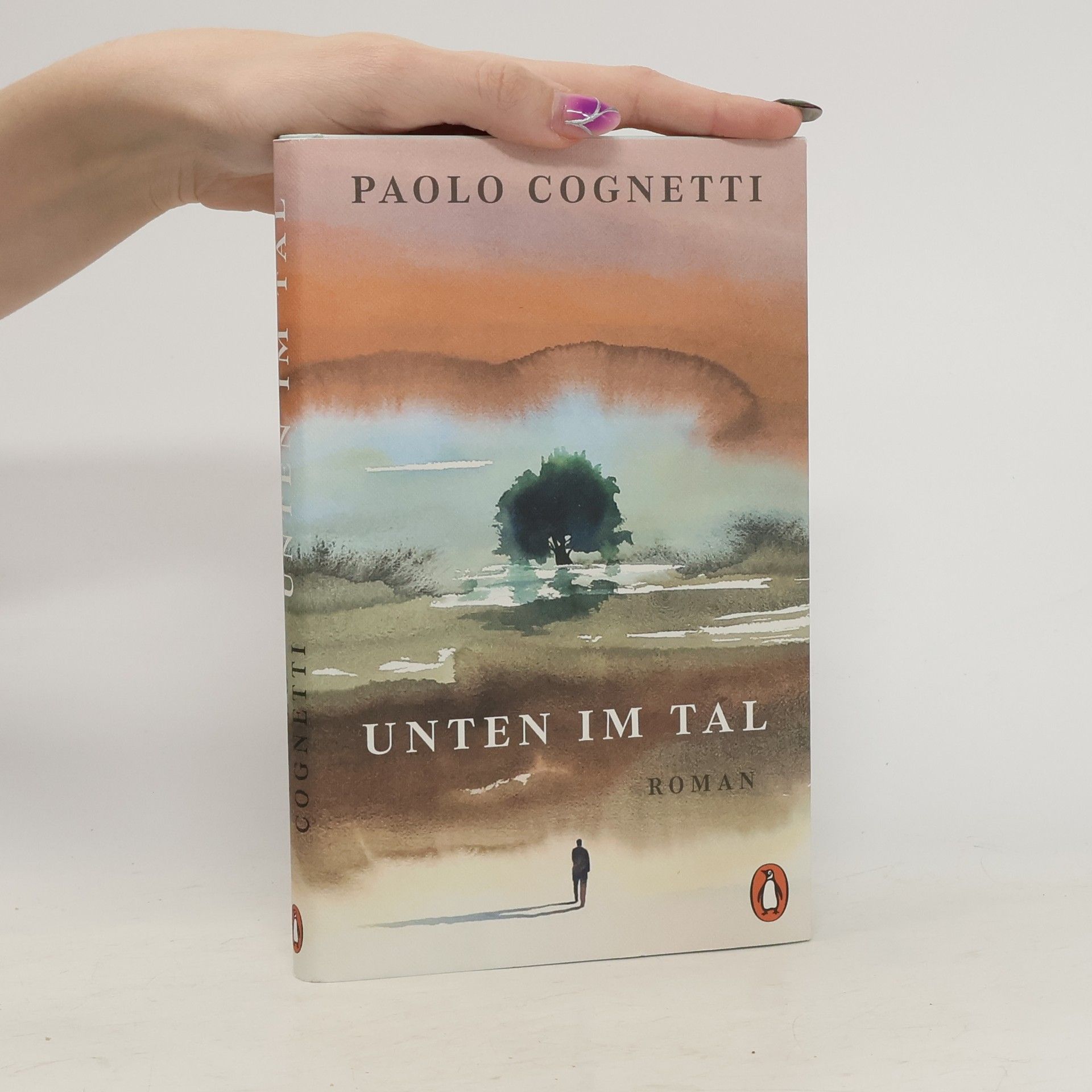 Paolo Cognetti Unten im Tal. Roman