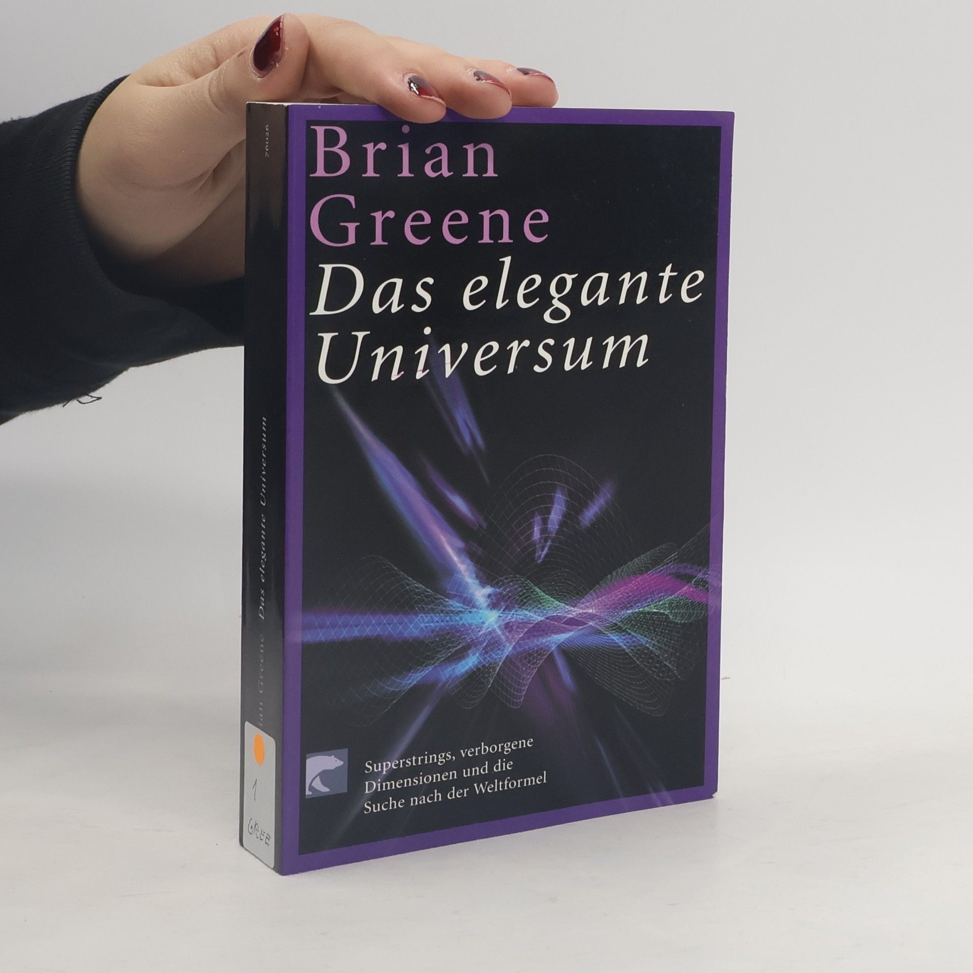 Brian Greene Das elegante Universum